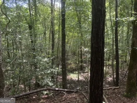 0 Pineville Road