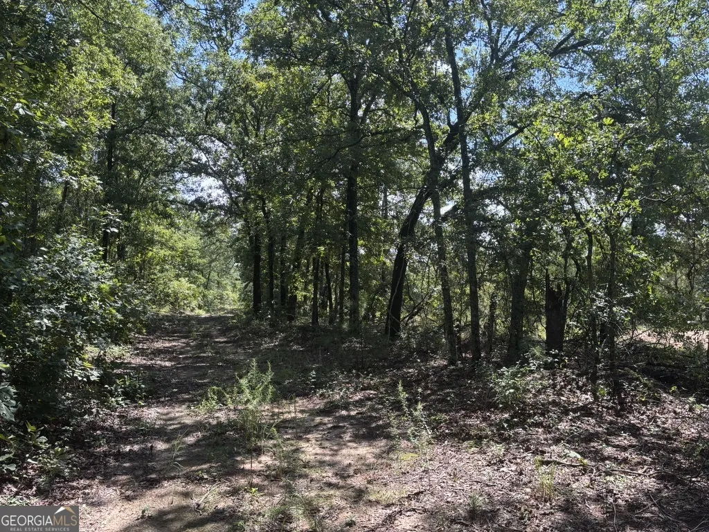 0 Pineville Road