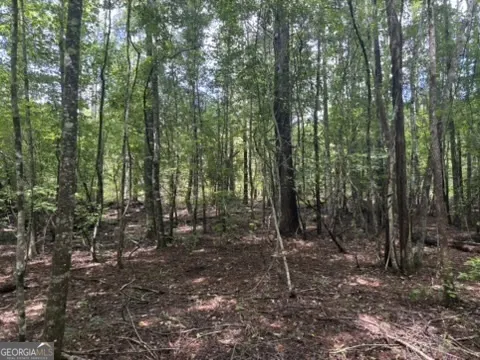 0 Pineville Road