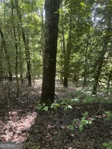 0 Pineville Road