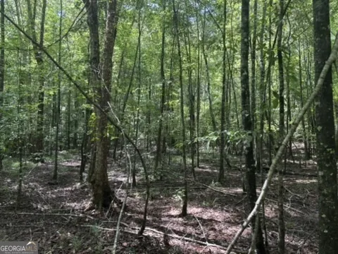 0 Pineville Road
