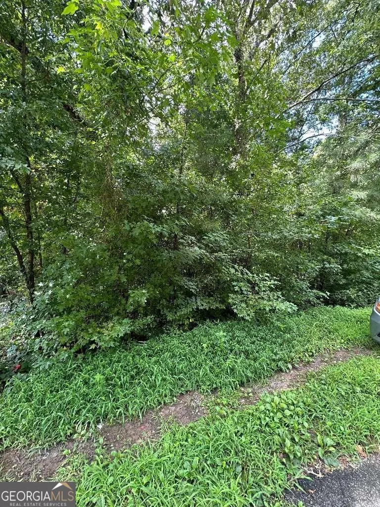4245 Bryan Drive