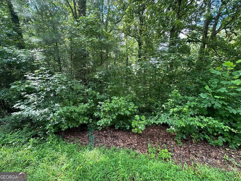 4245 Bryan Drive