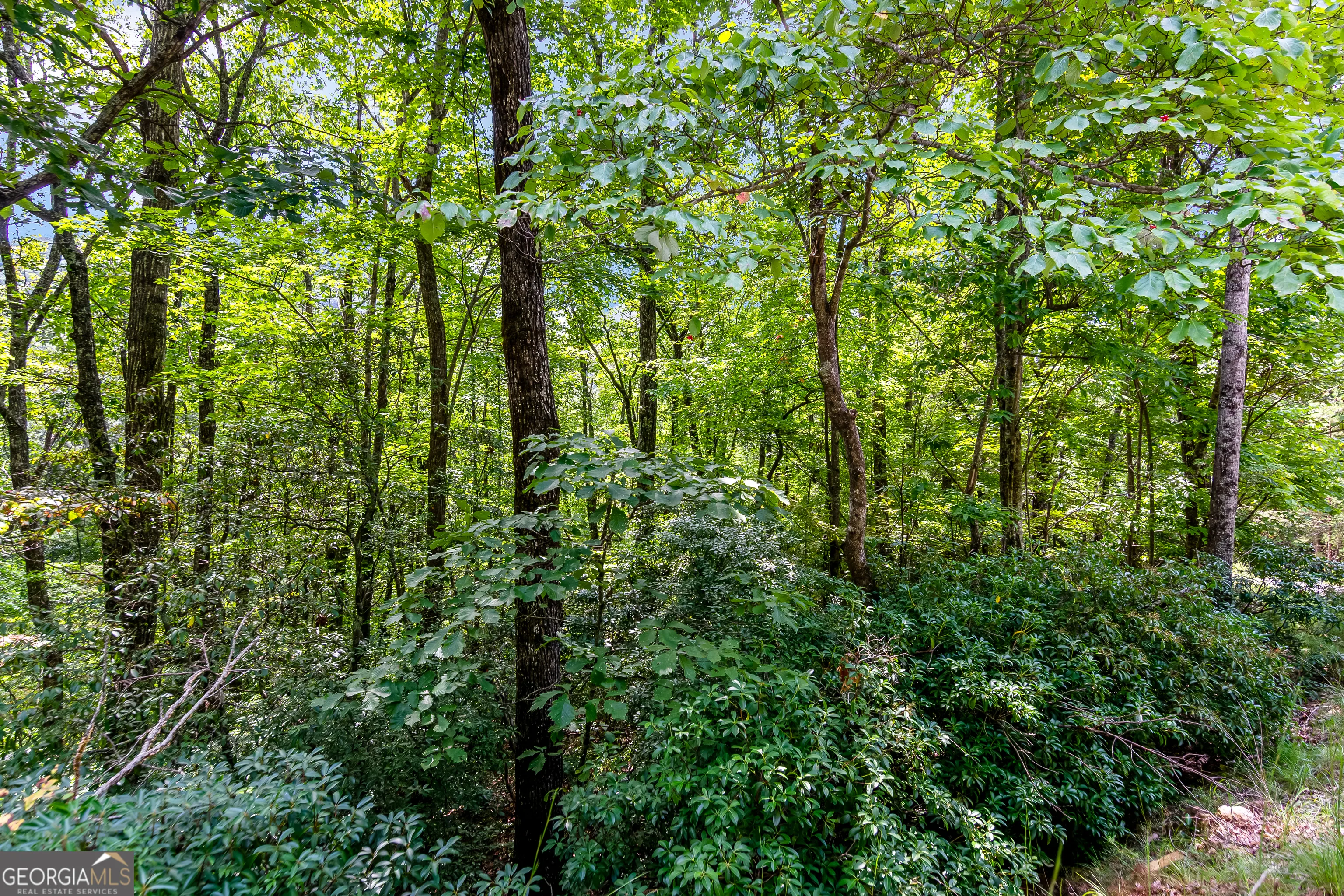 4.69 Rockwater Road, #00