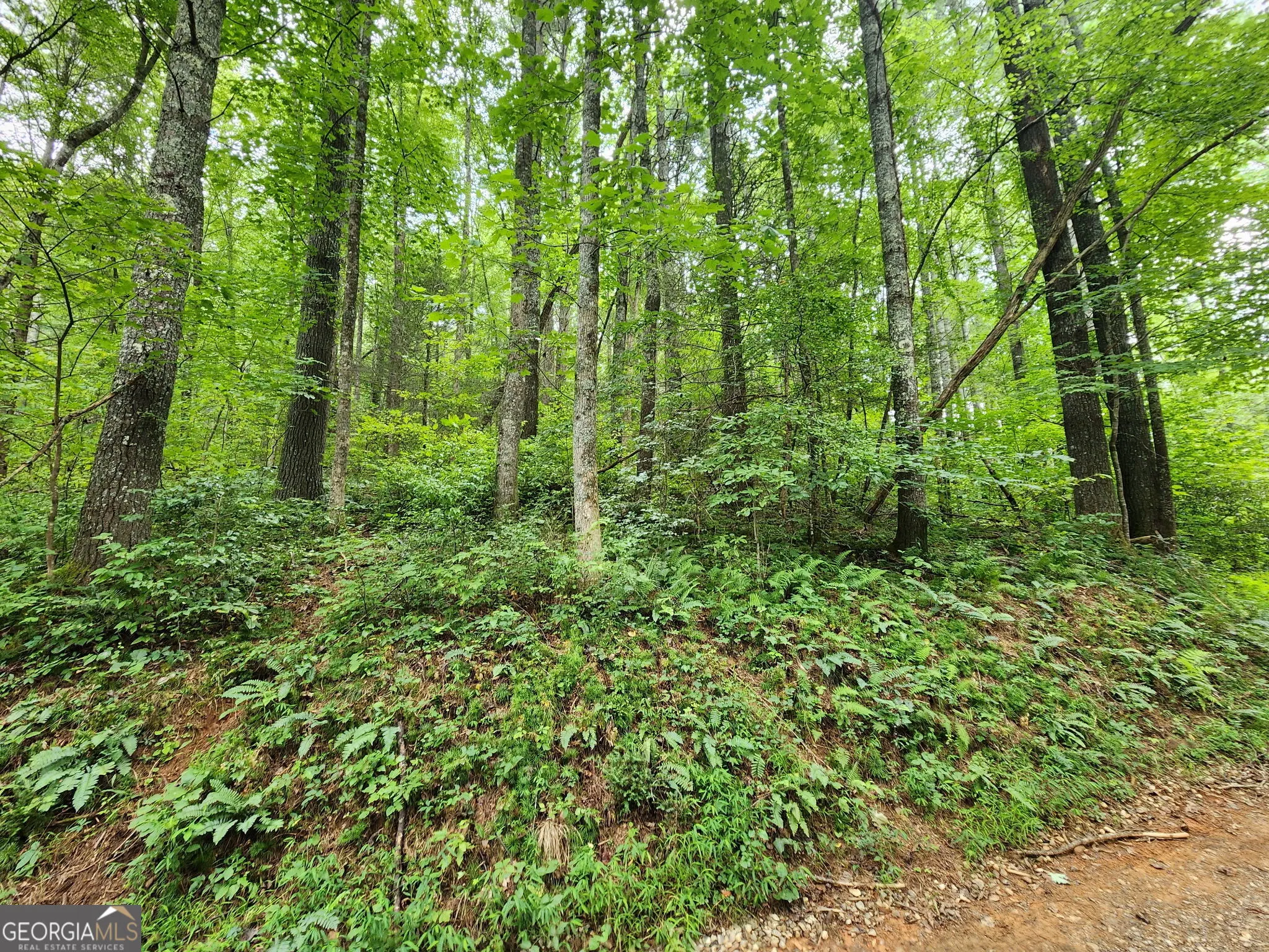 TRACT 2A Poplar Cove Trail