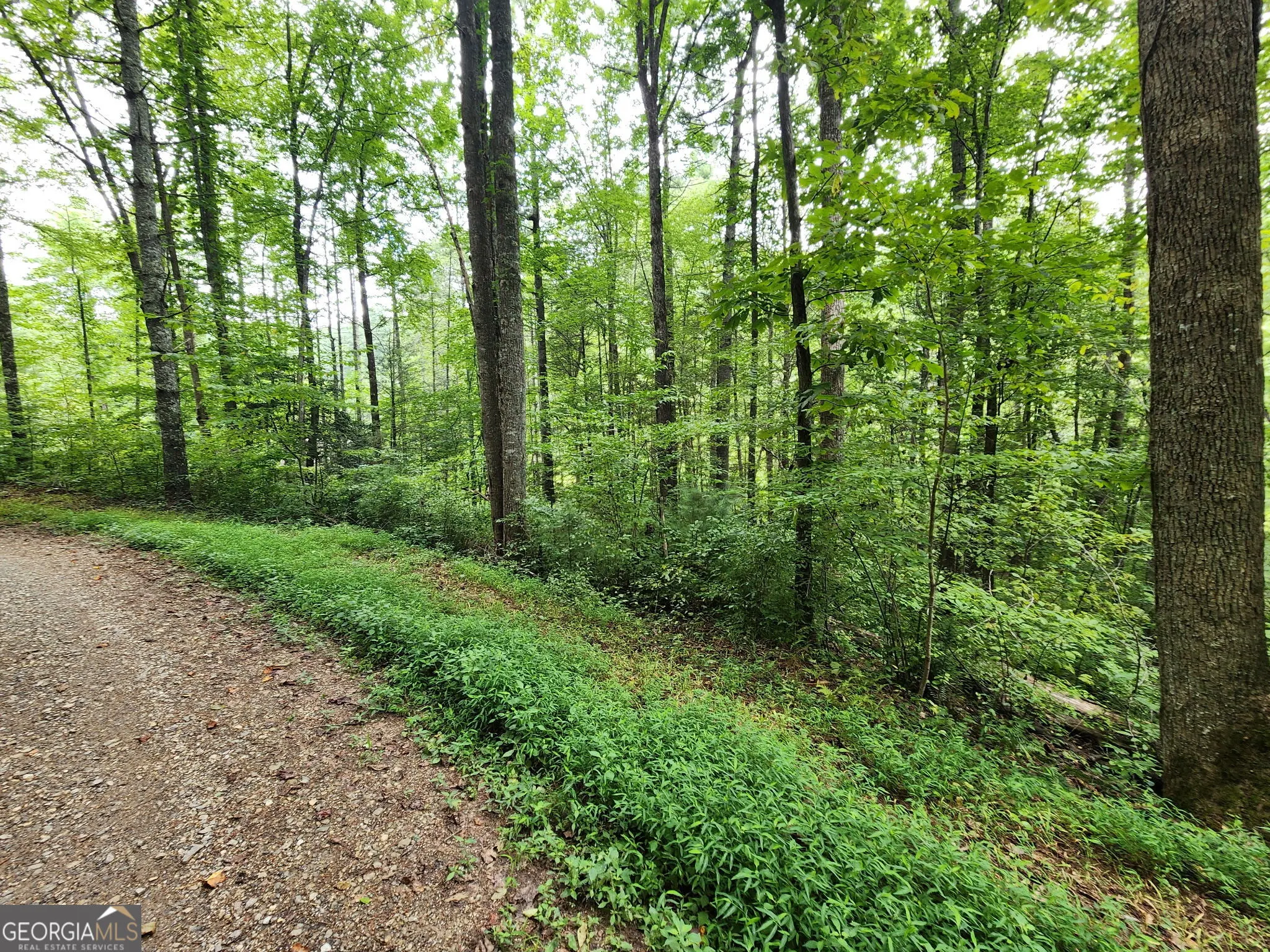 TRACT 2A Poplar Cove Trail
