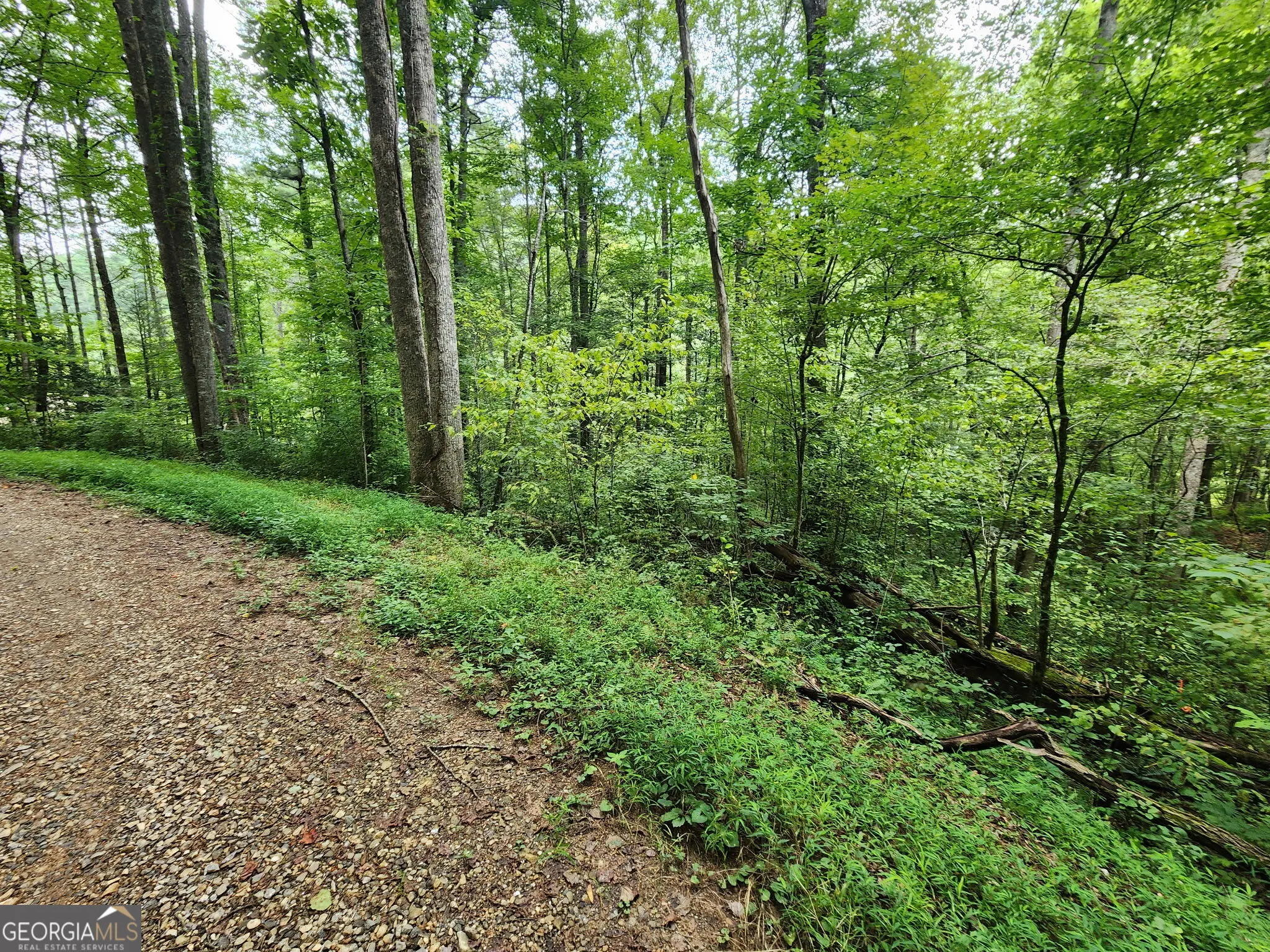 TRACT 2A Poplar Cove Trail