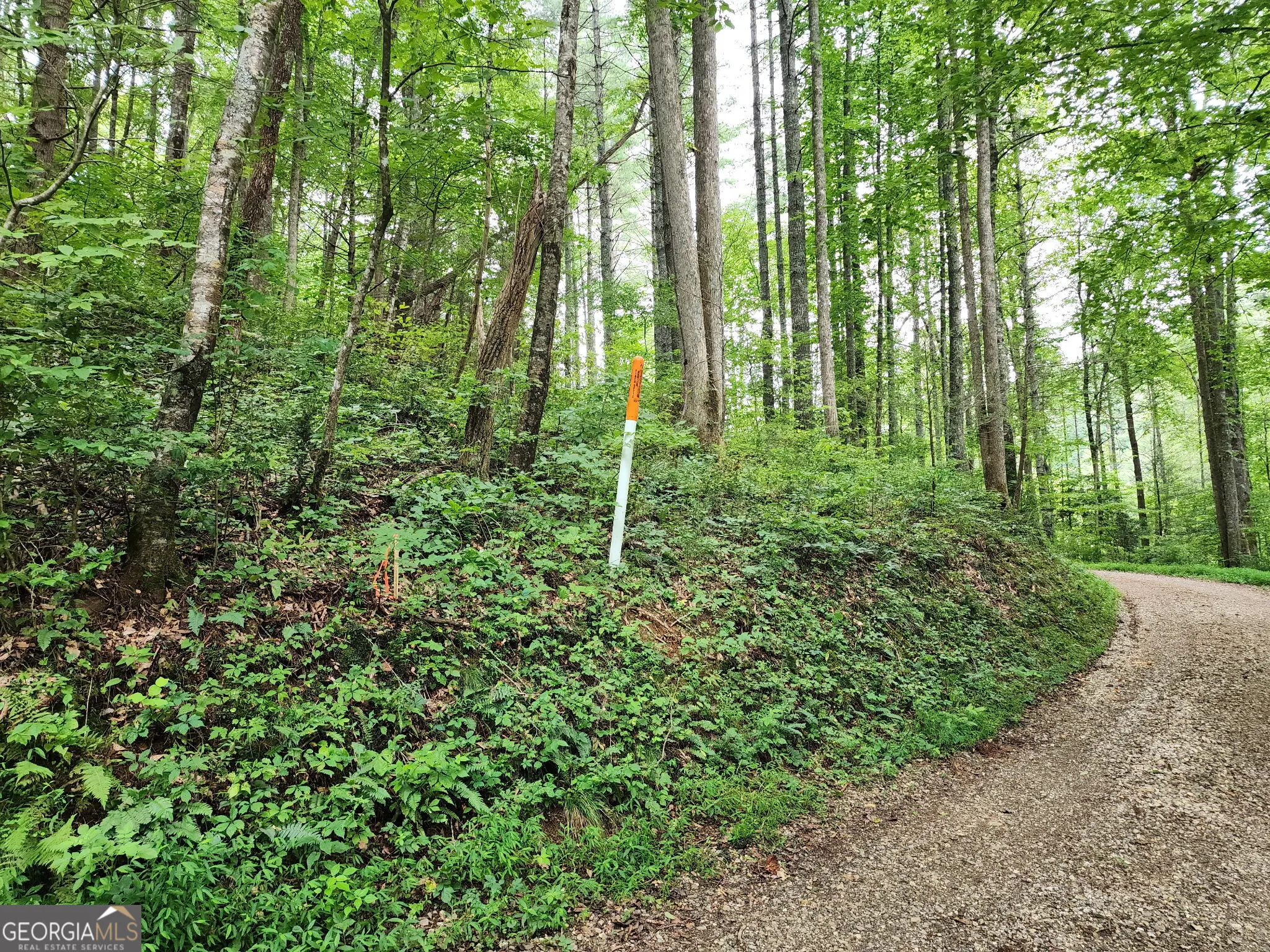 TRACT 2A Poplar Cove Trail