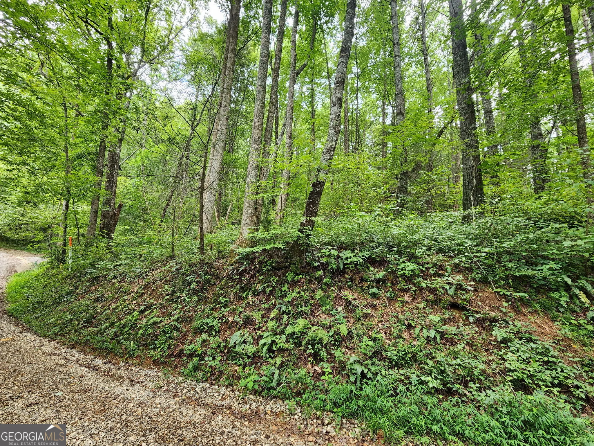 TRACT 2A Poplar Cove Trail