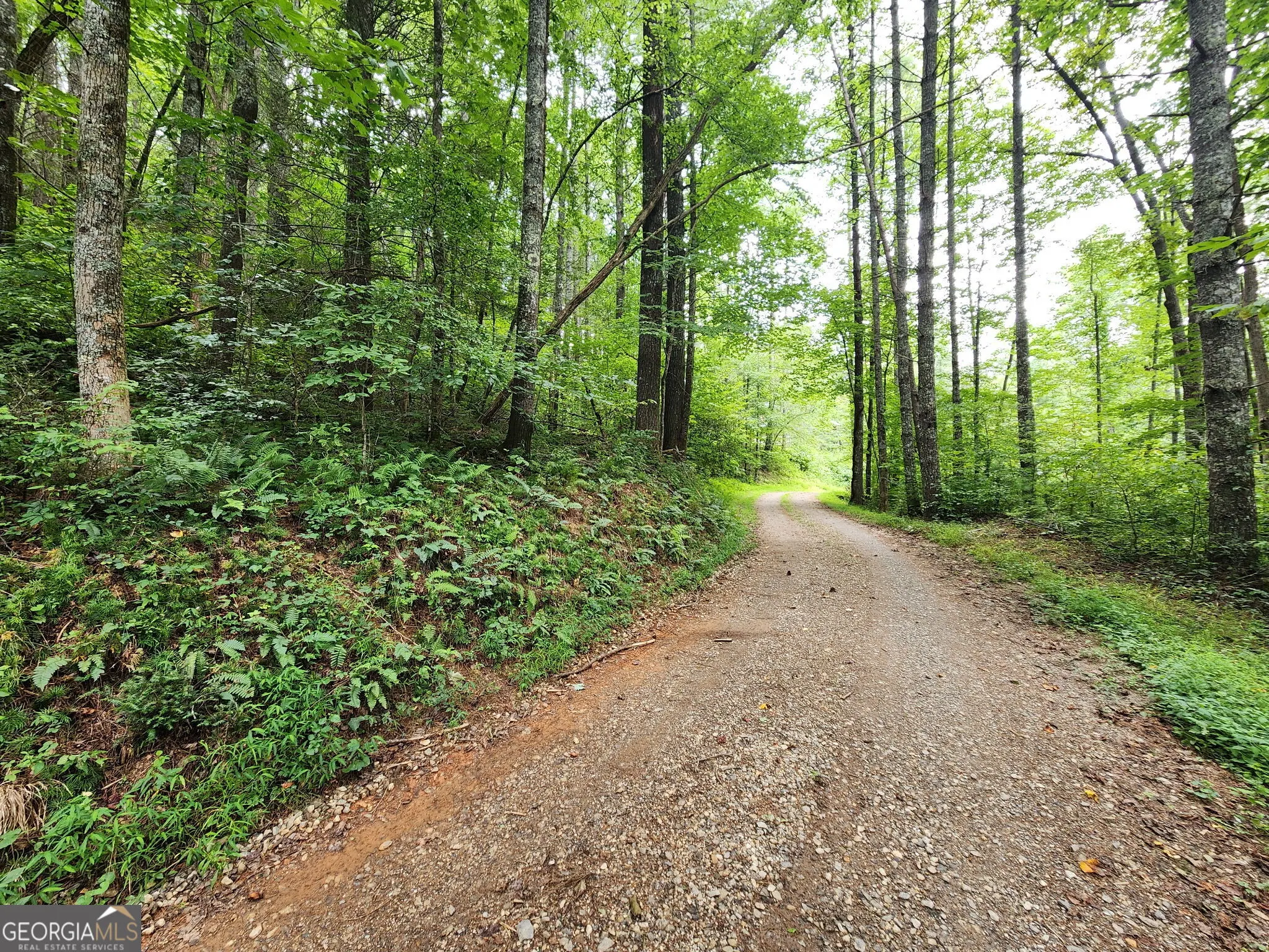 TRACT 2A Poplar Cove Trail