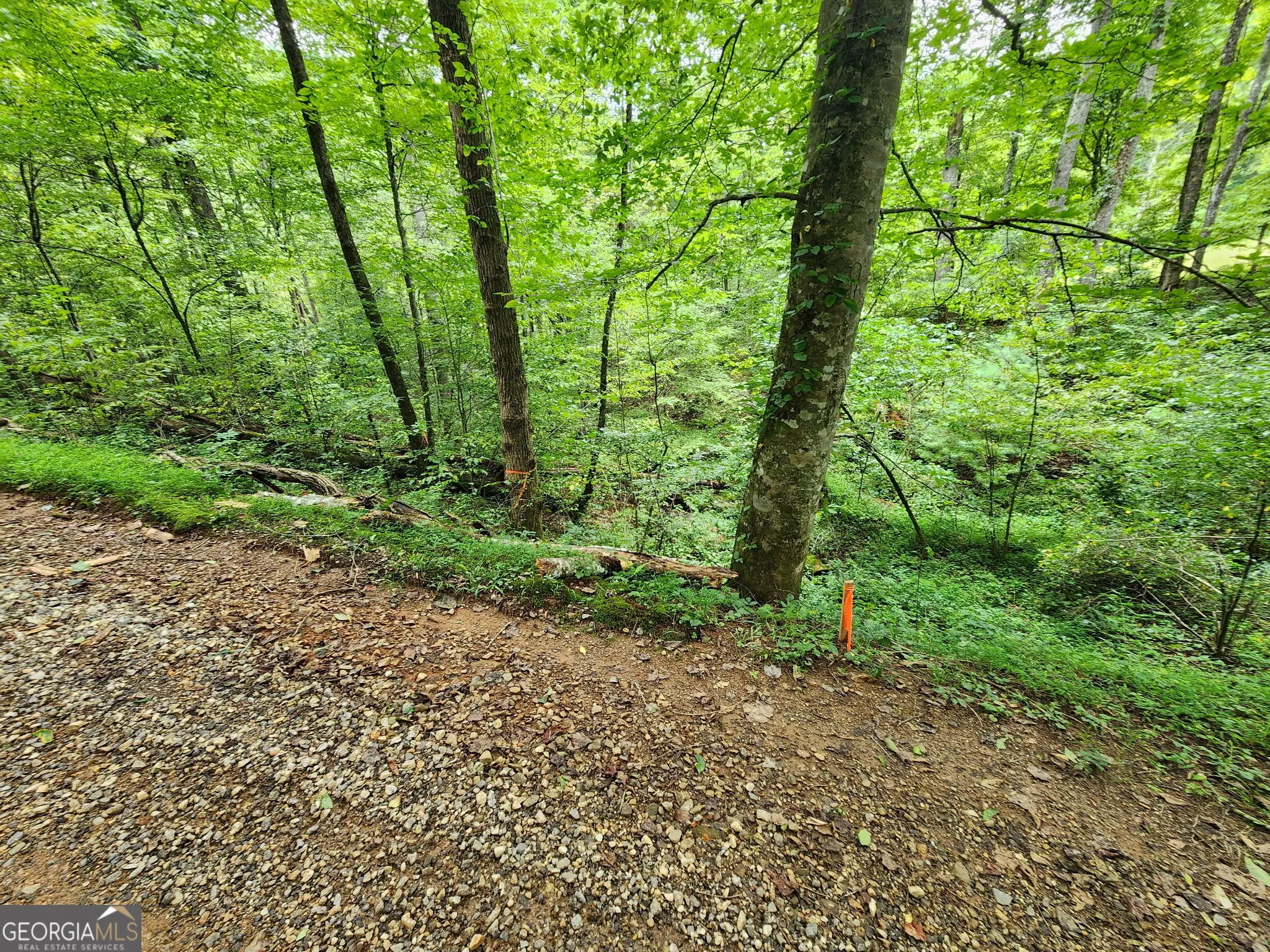 TRACT 2A Poplar Cove Trail