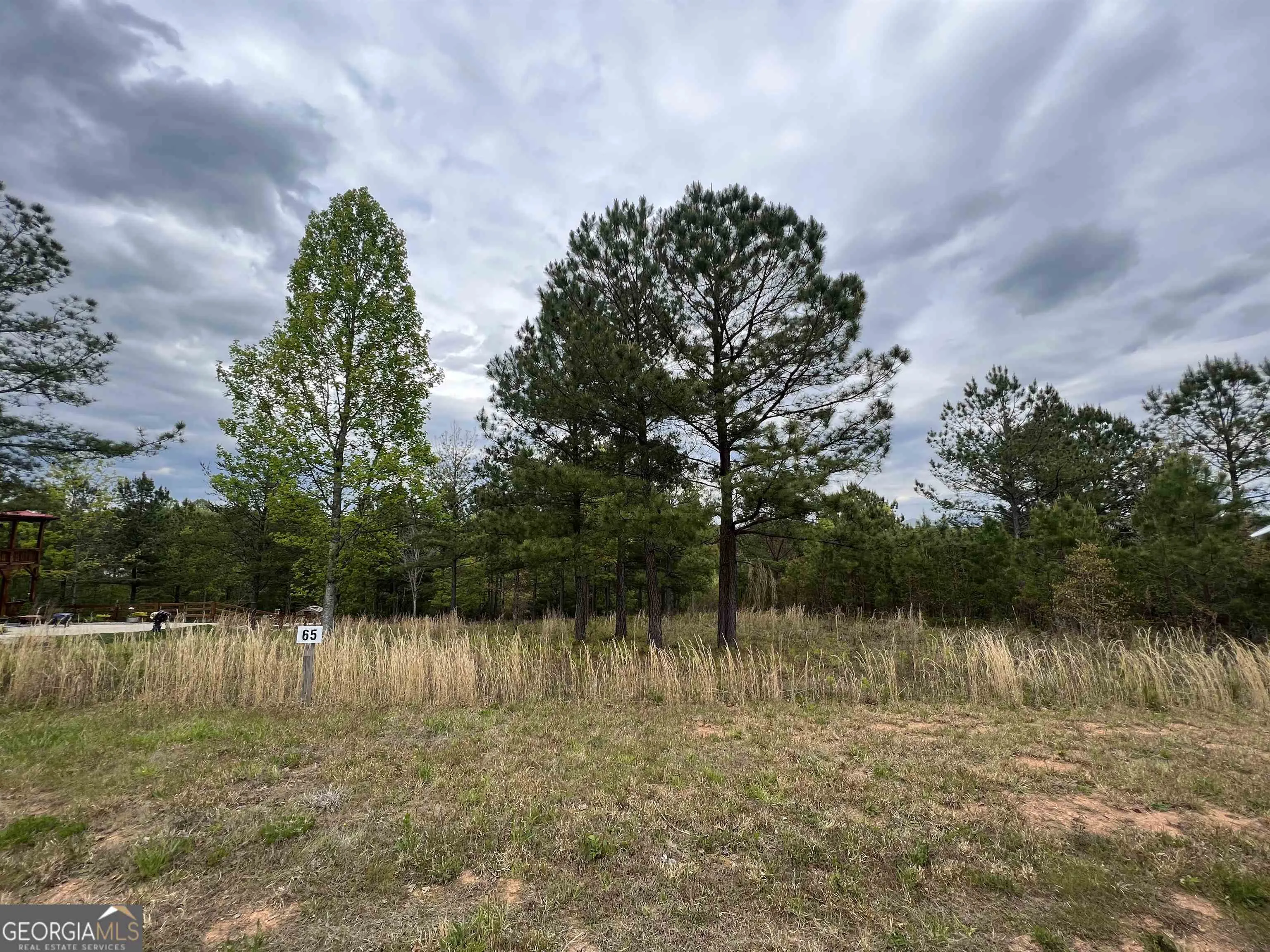 LOT 65 Village Loop