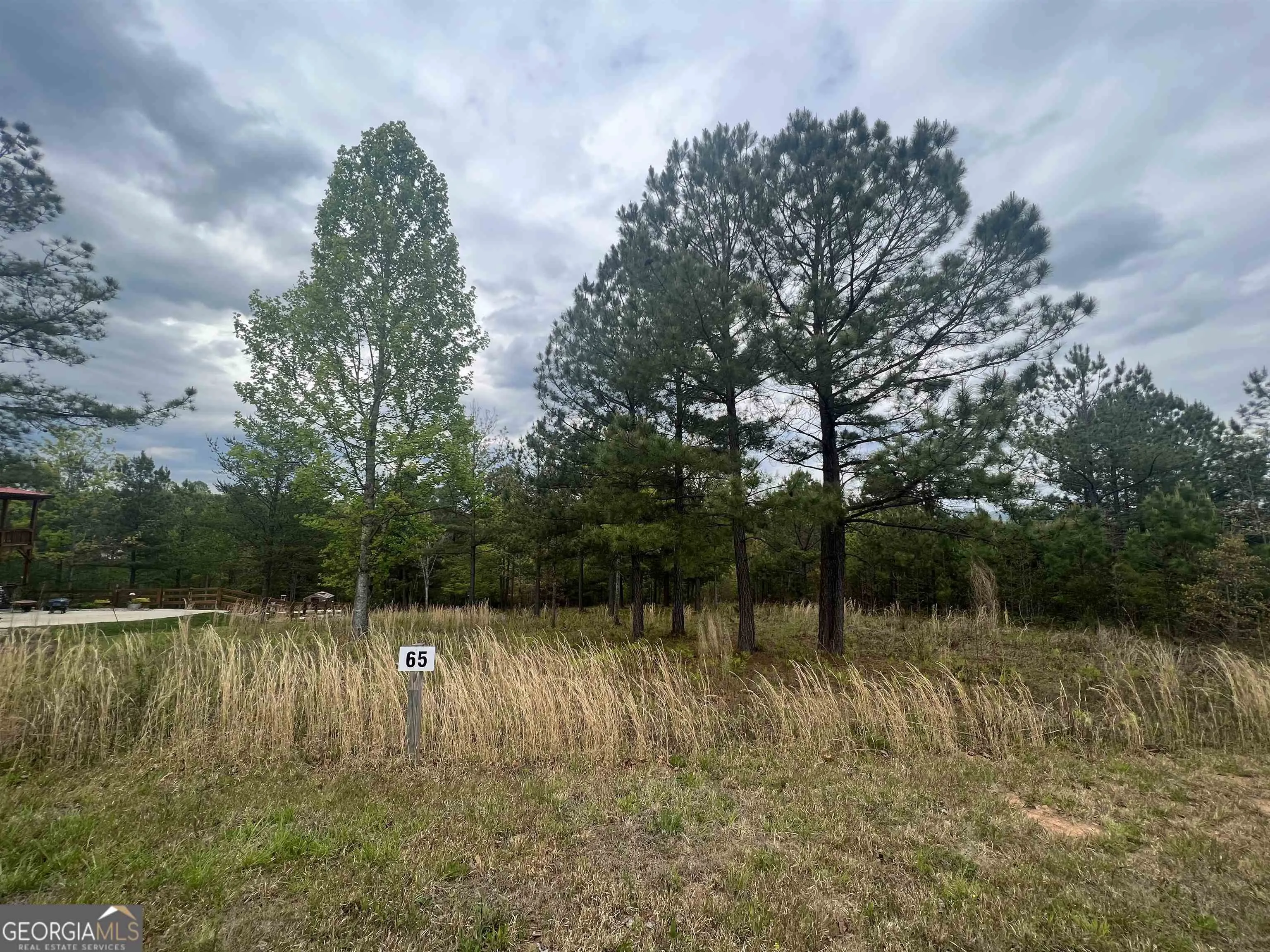 LOT 65 Village Loop