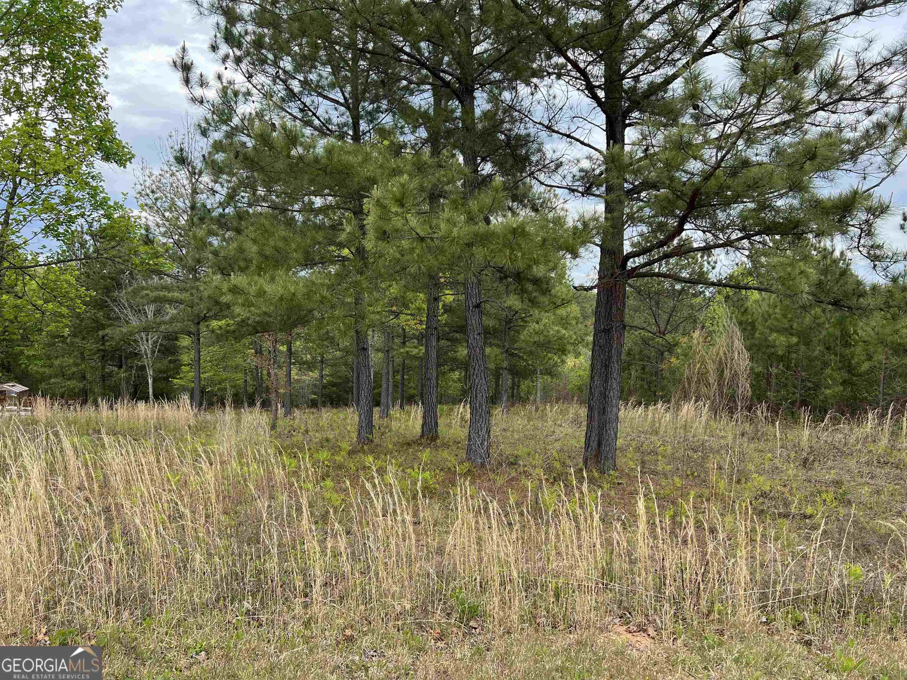 LOT 65 Village Loop