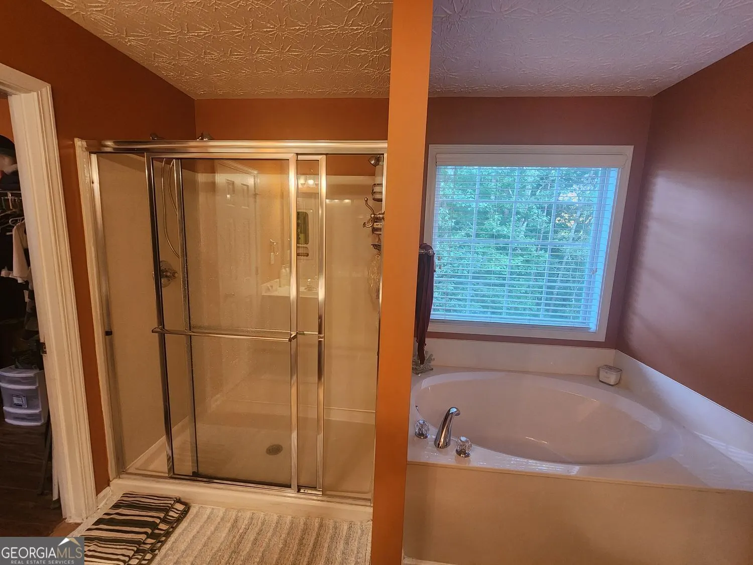 2422 Snowshoe Bend