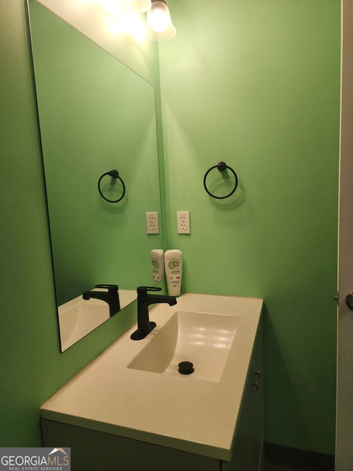 2422 Snowshoe Bend