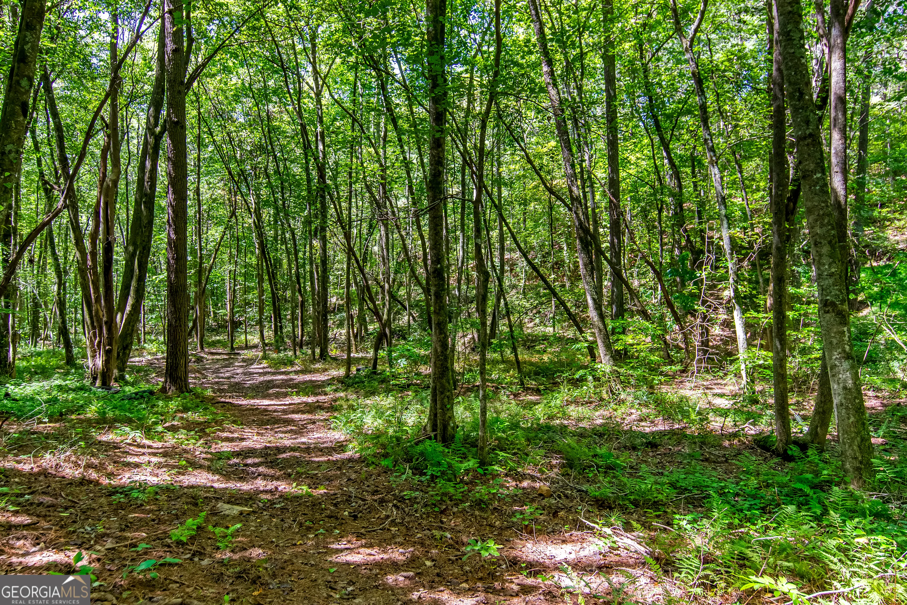 7.67 AC Oak Hill Drive, #0