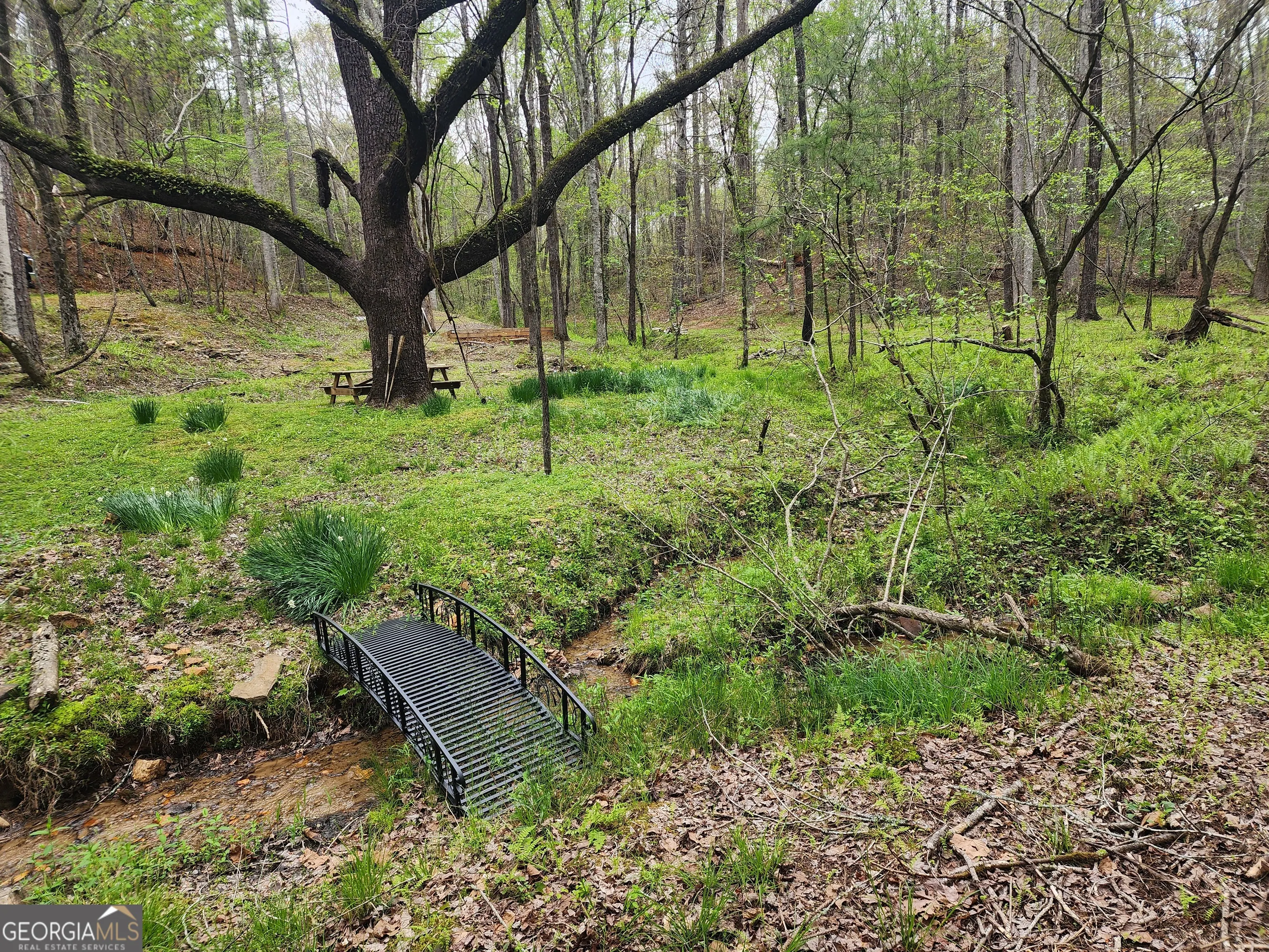7.67 AC Oak Hill Drive, #0