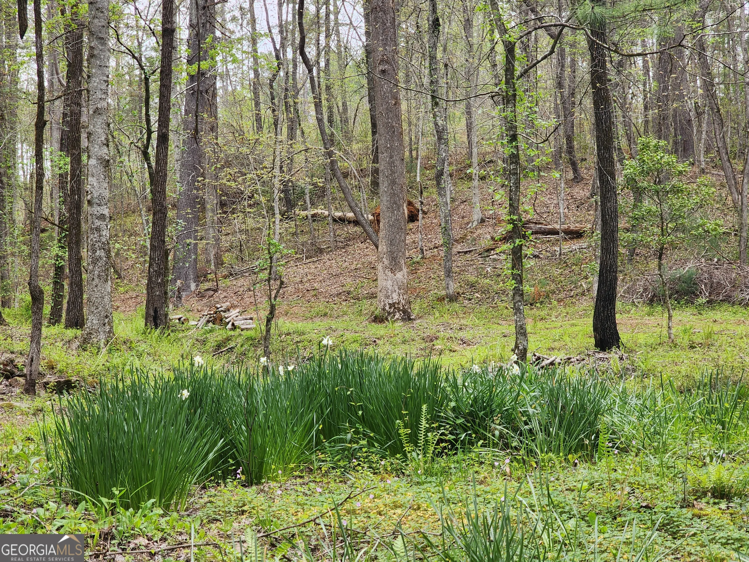 7.67 AC Oak Hill Drive, #0