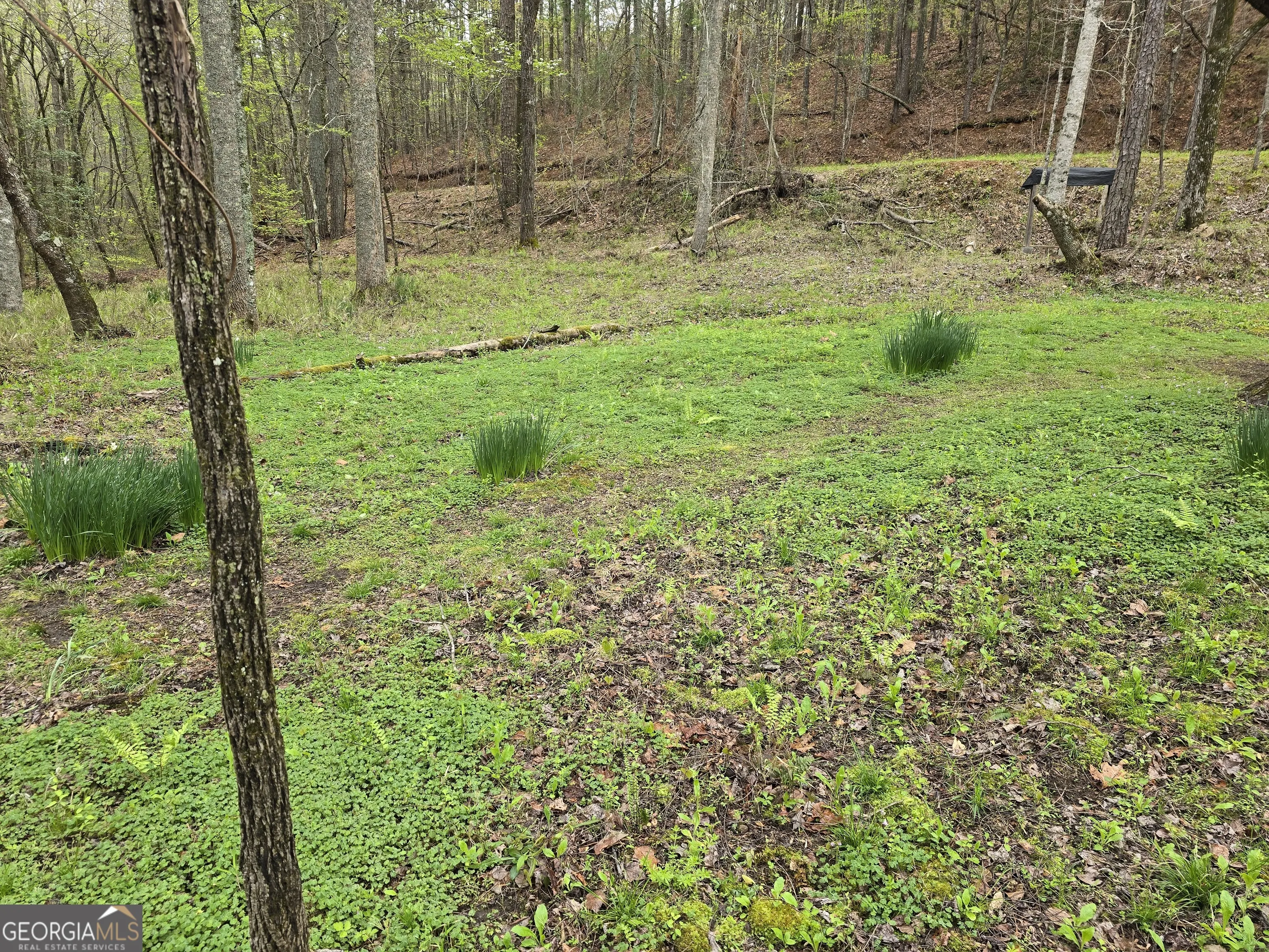 7.67 AC Oak Hill Drive, #0