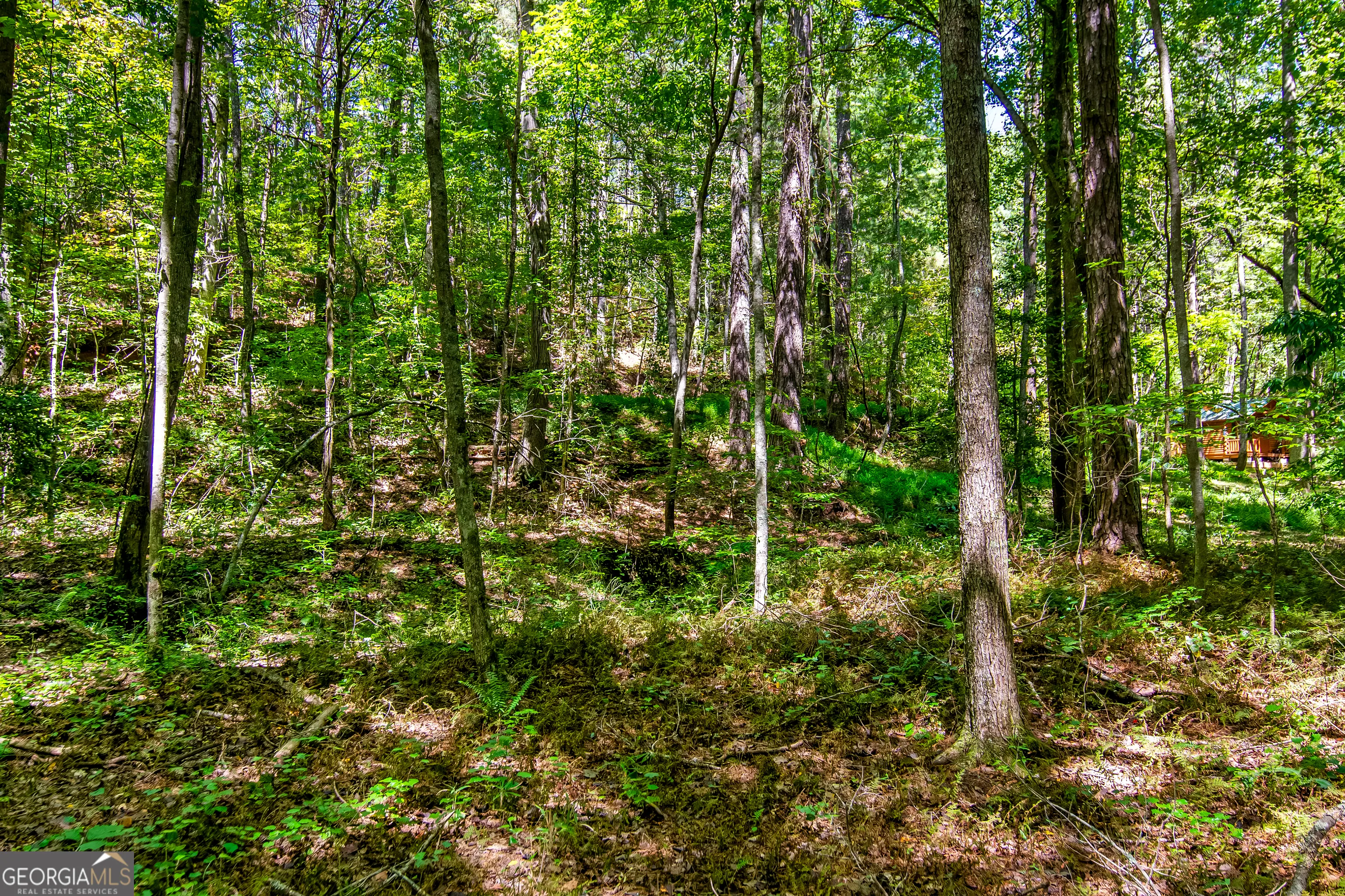 7.67 AC Oak Hill Drive, #0