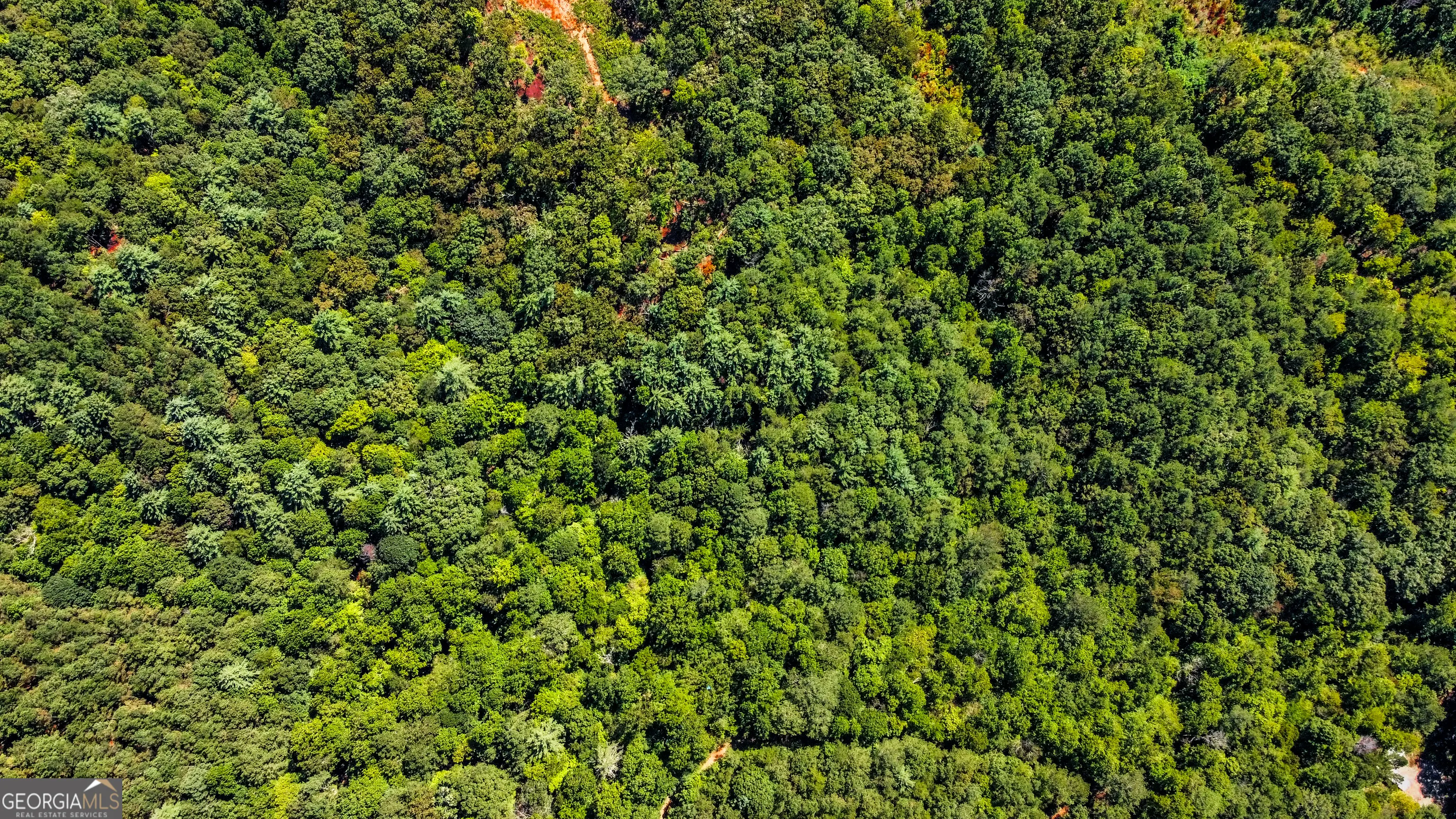 7.67 AC Oak Hill Drive, #0