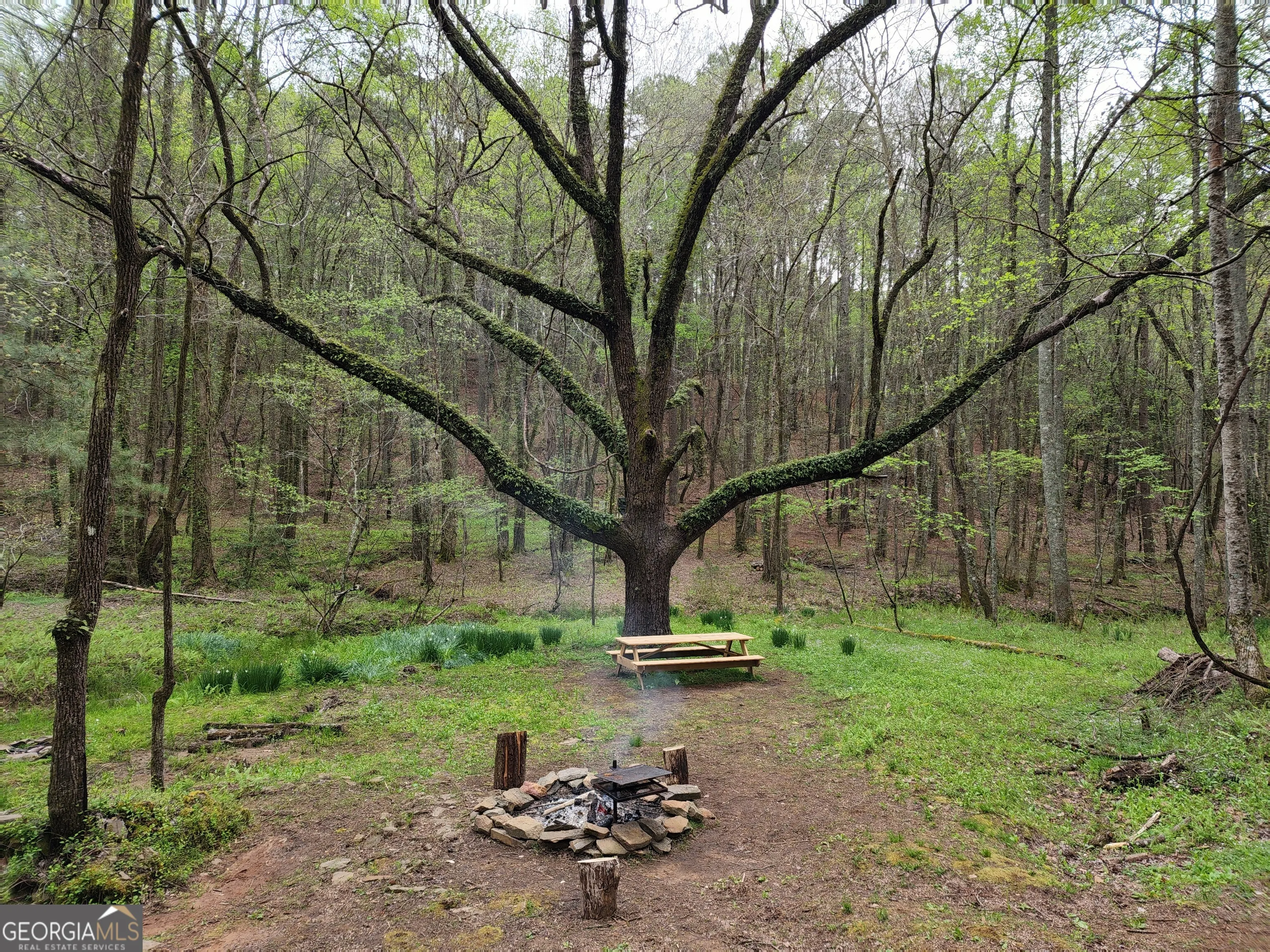 7.67 AC Oak Hill Drive, #0