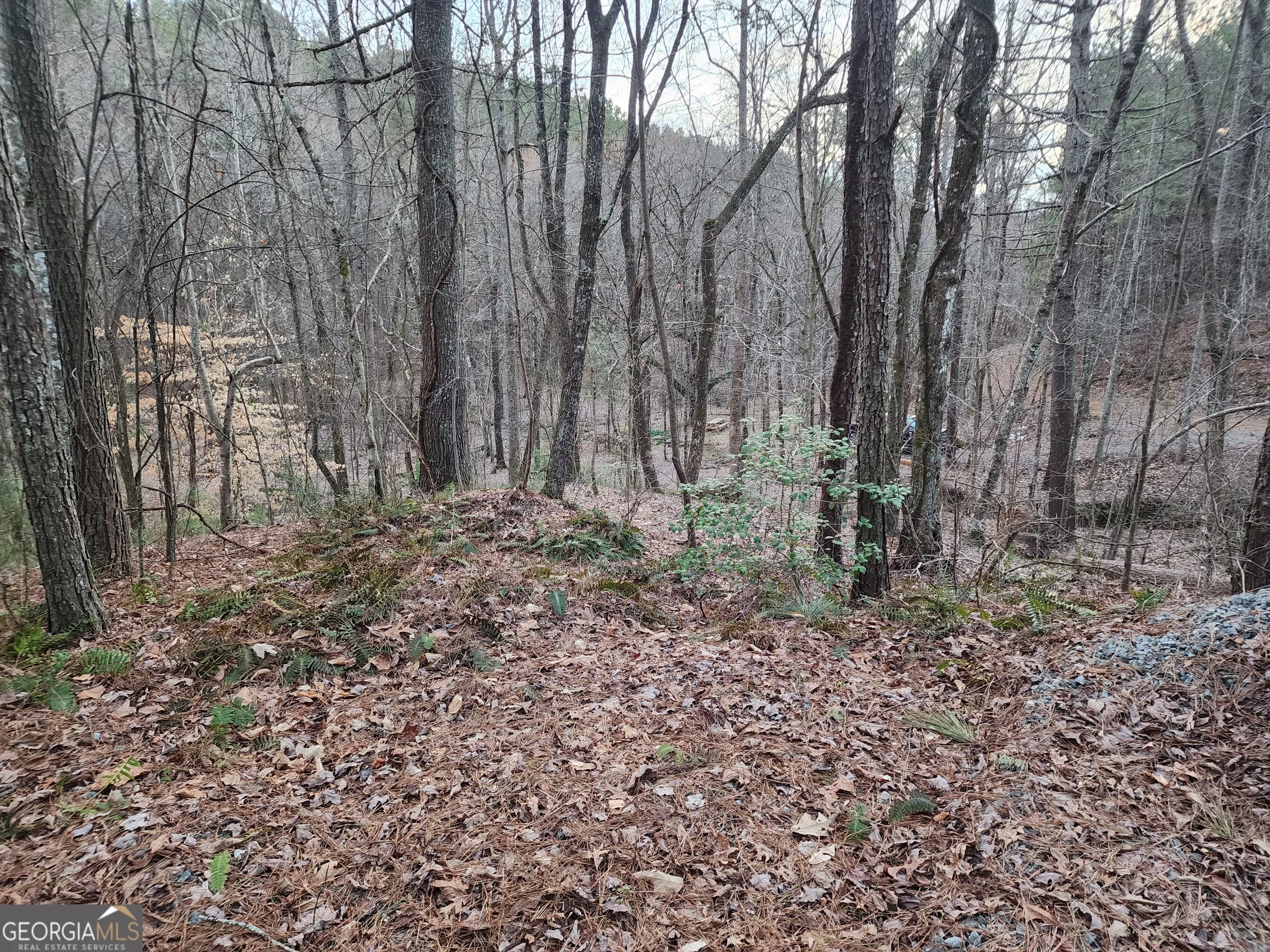 7.67 AC Oak Hill Drive, #0