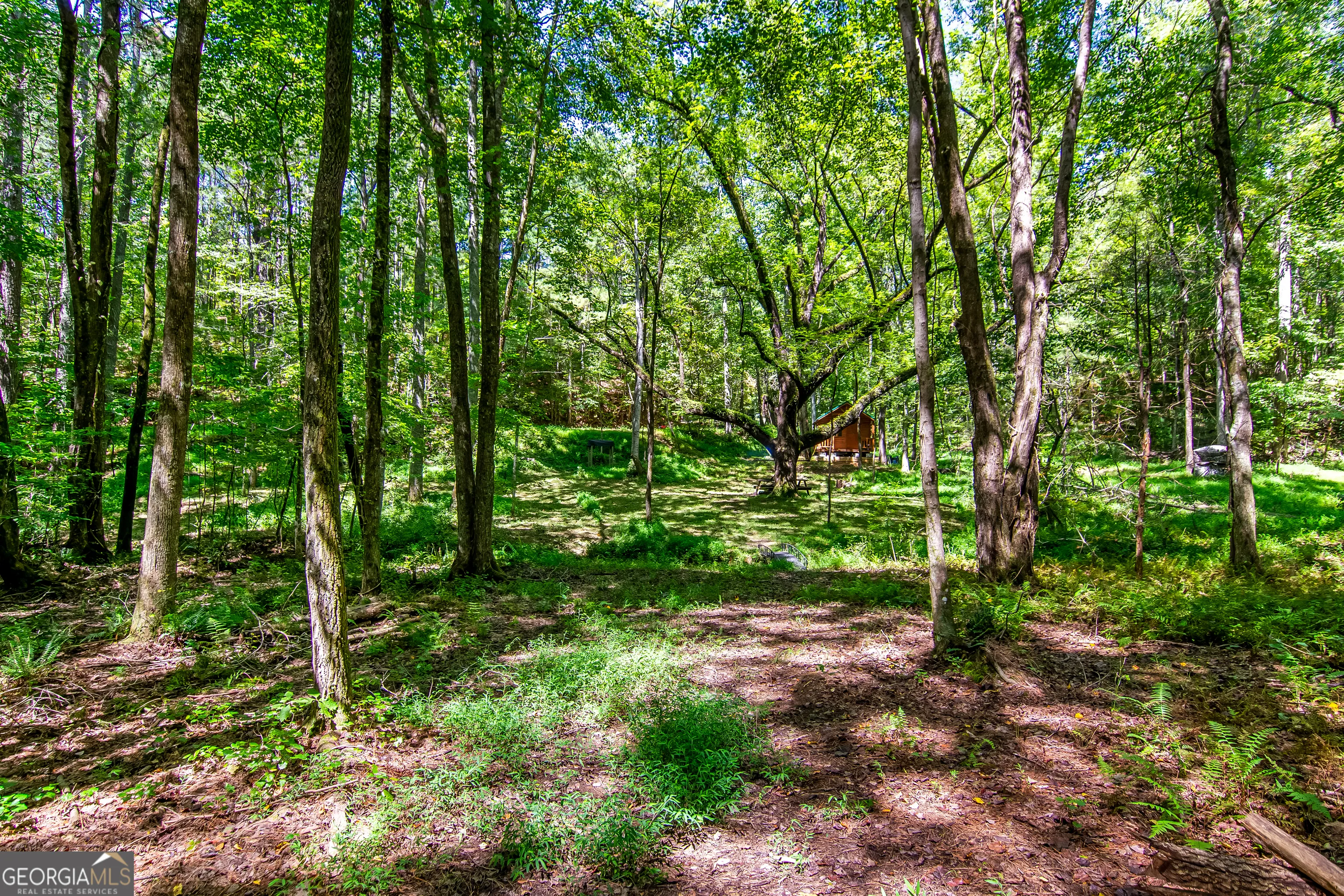7.67 AC Oak Hill Drive, #0
