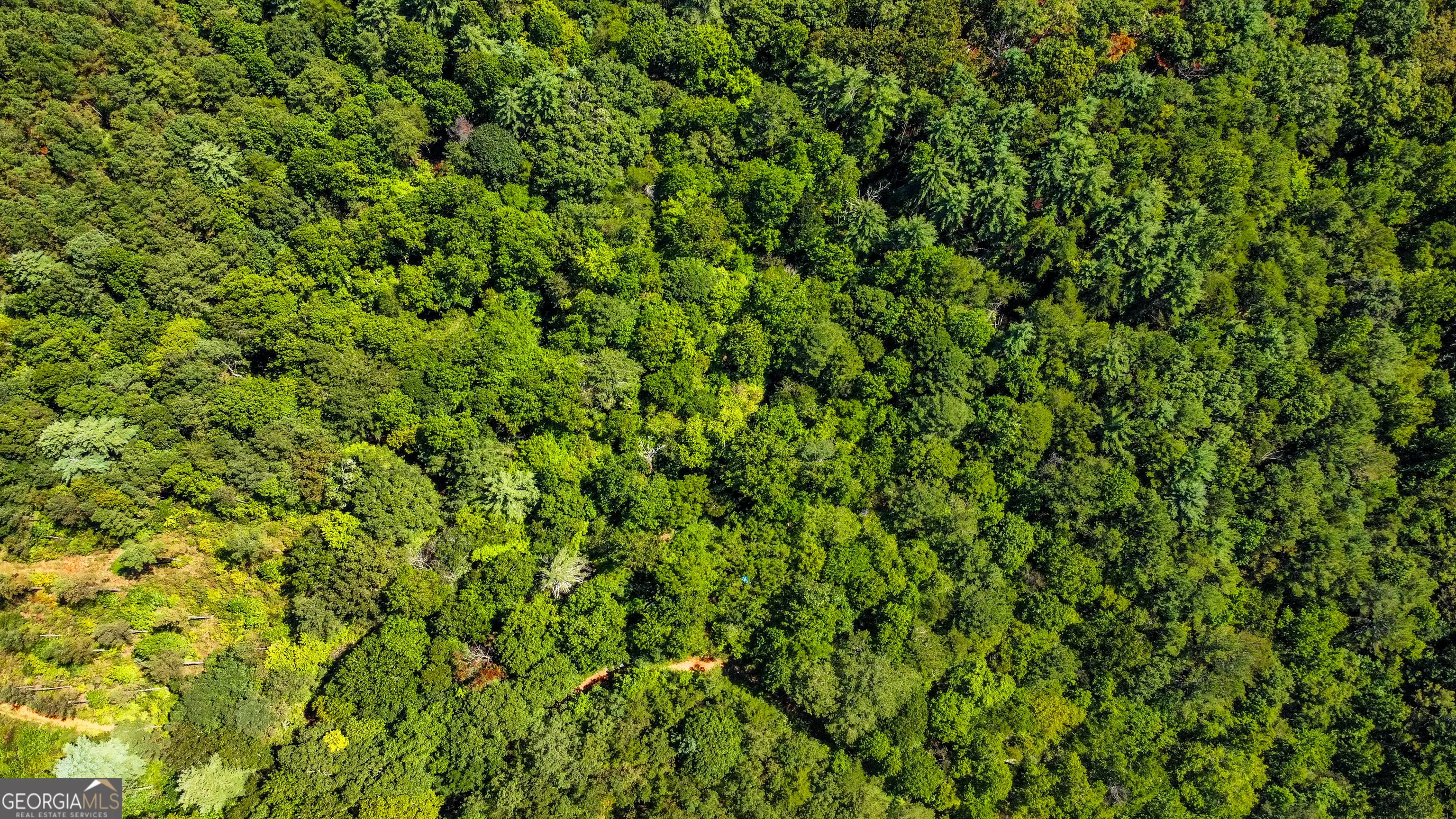 7.67 AC Oak Hill Drive, #0