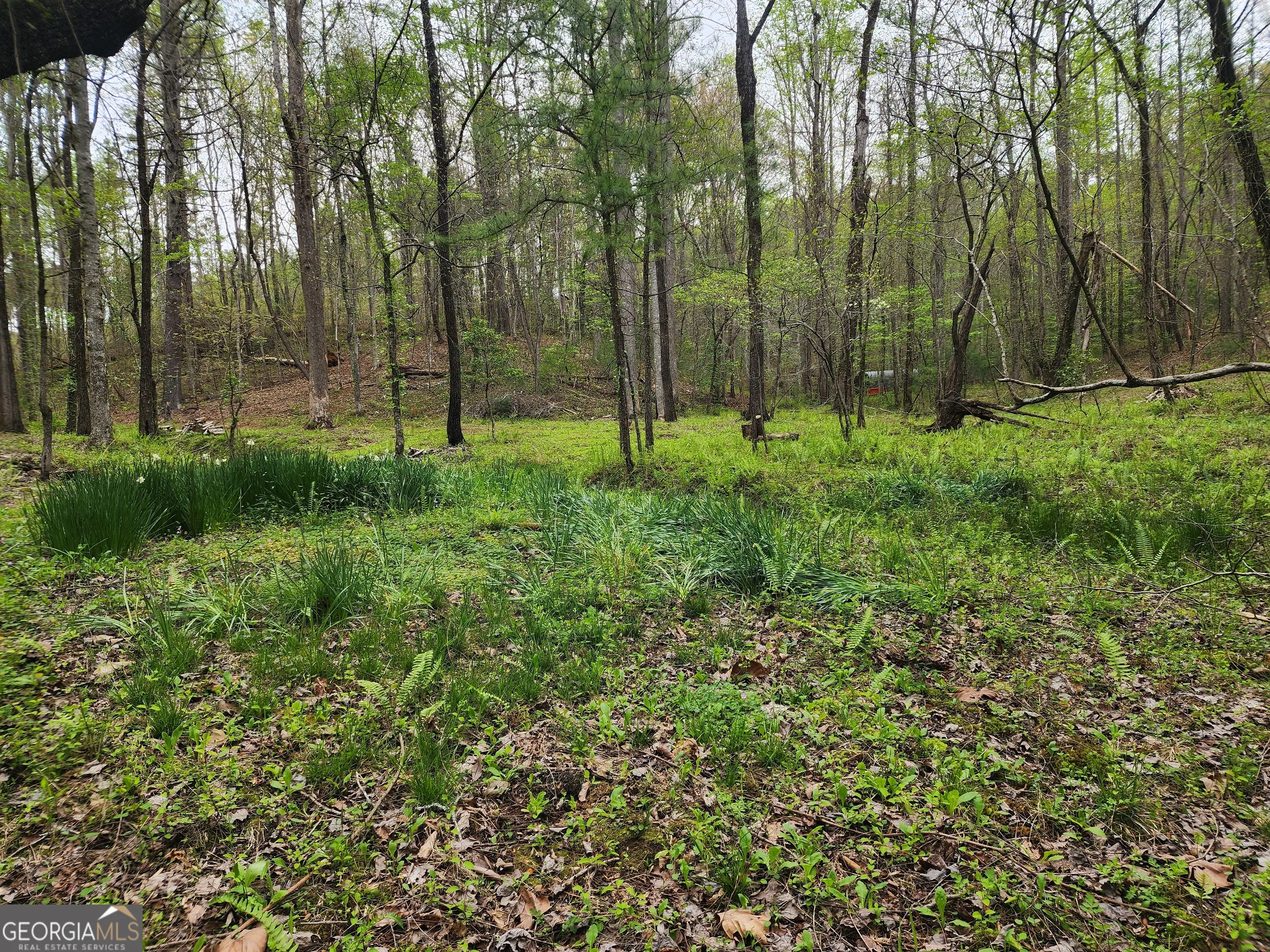 7.67 AC Oak Hill Drive, #0
