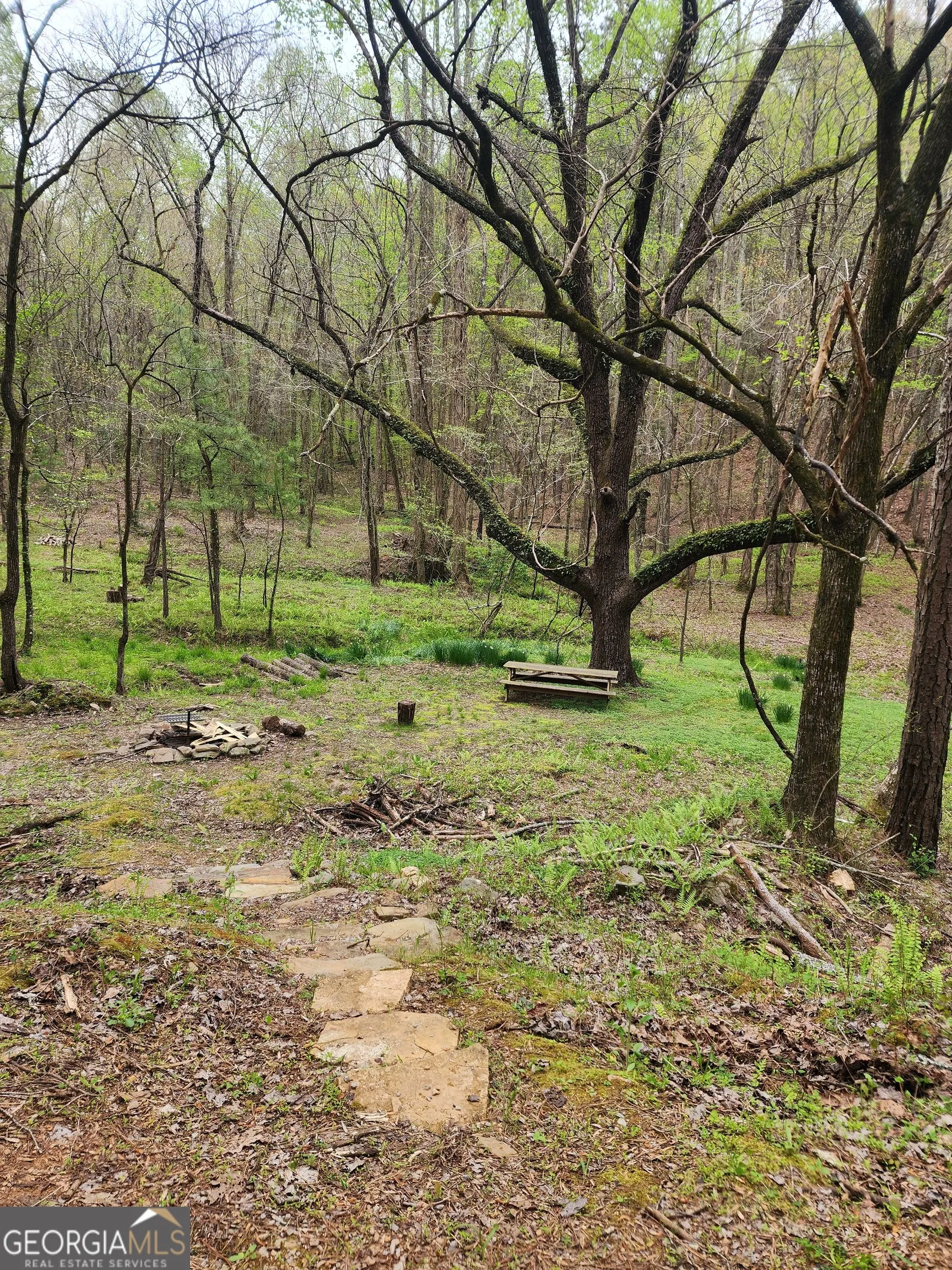 7.67 AC Oak Hill Drive, #0