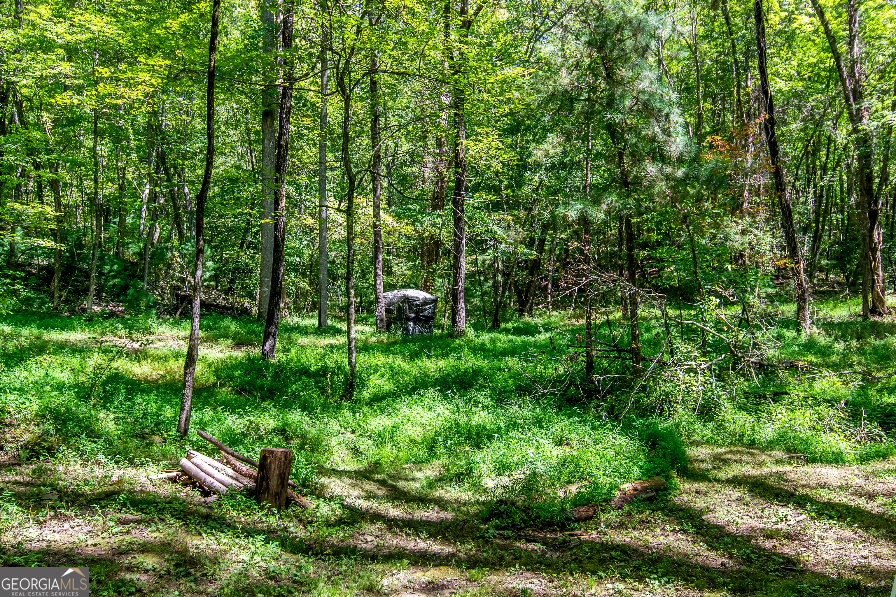 7.67 AC Oak Hill Drive, #0