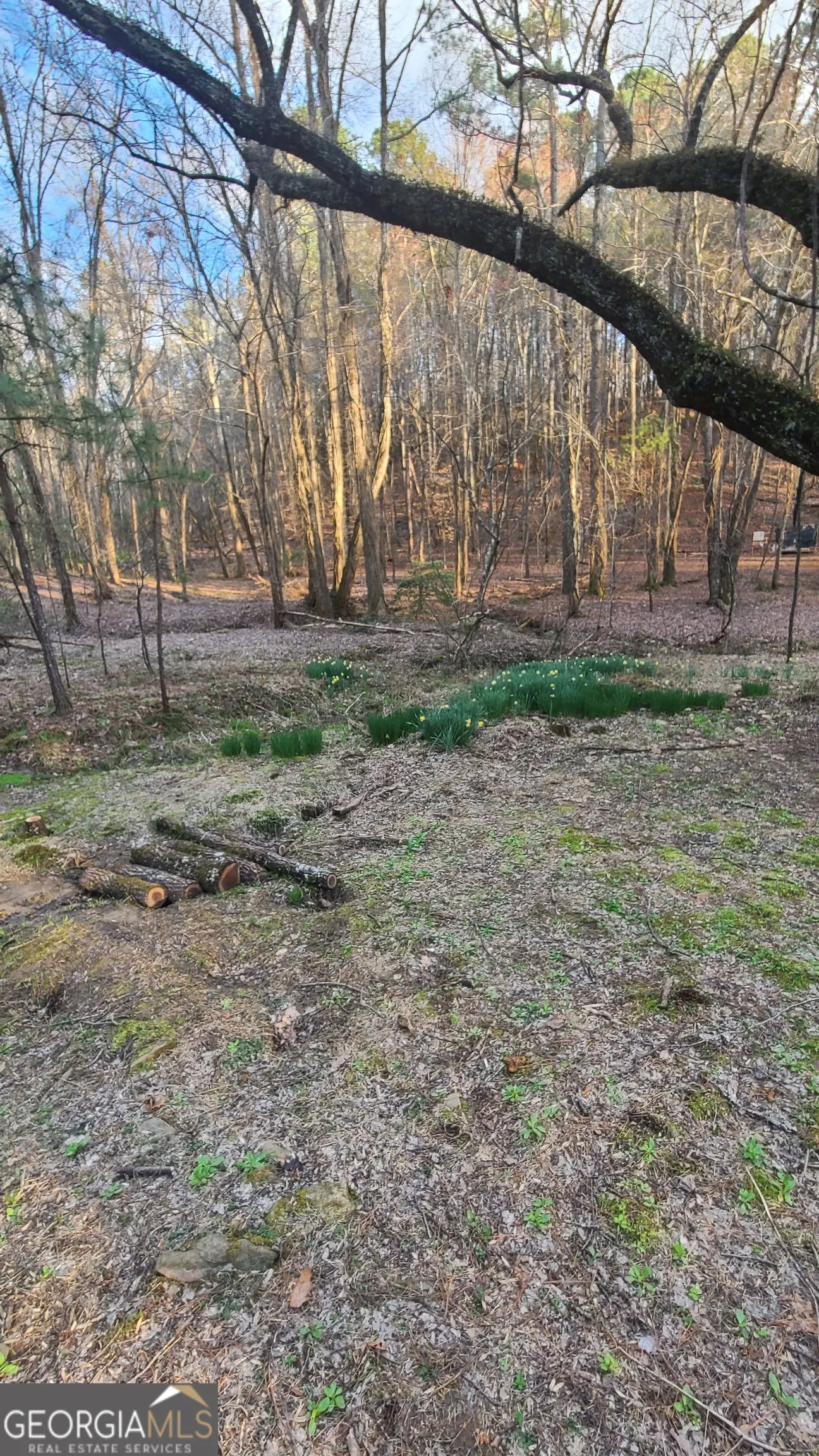 7.67 AC Oak Hill Drive, #0