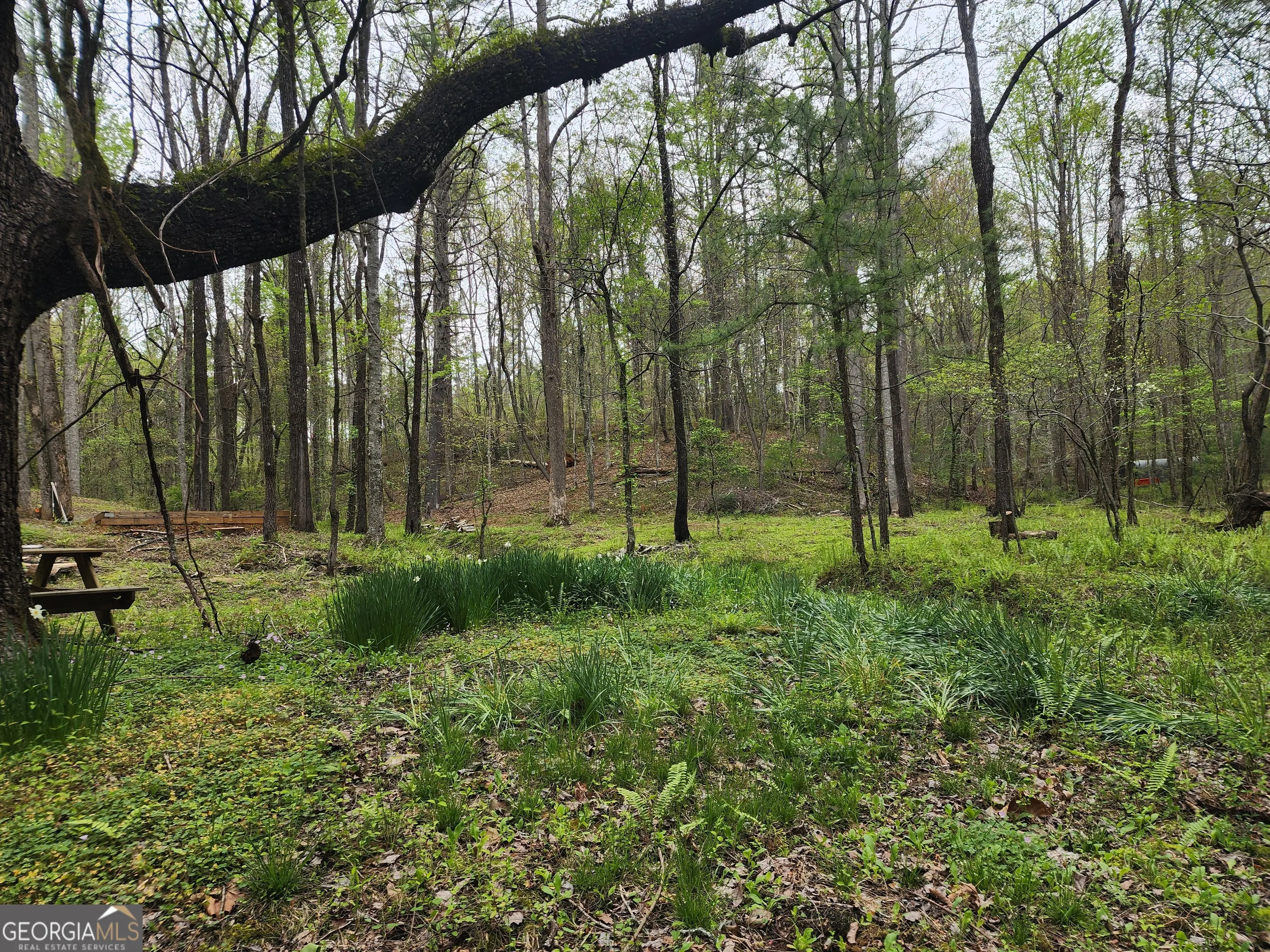 7.67 AC Oak Hill Drive, #0