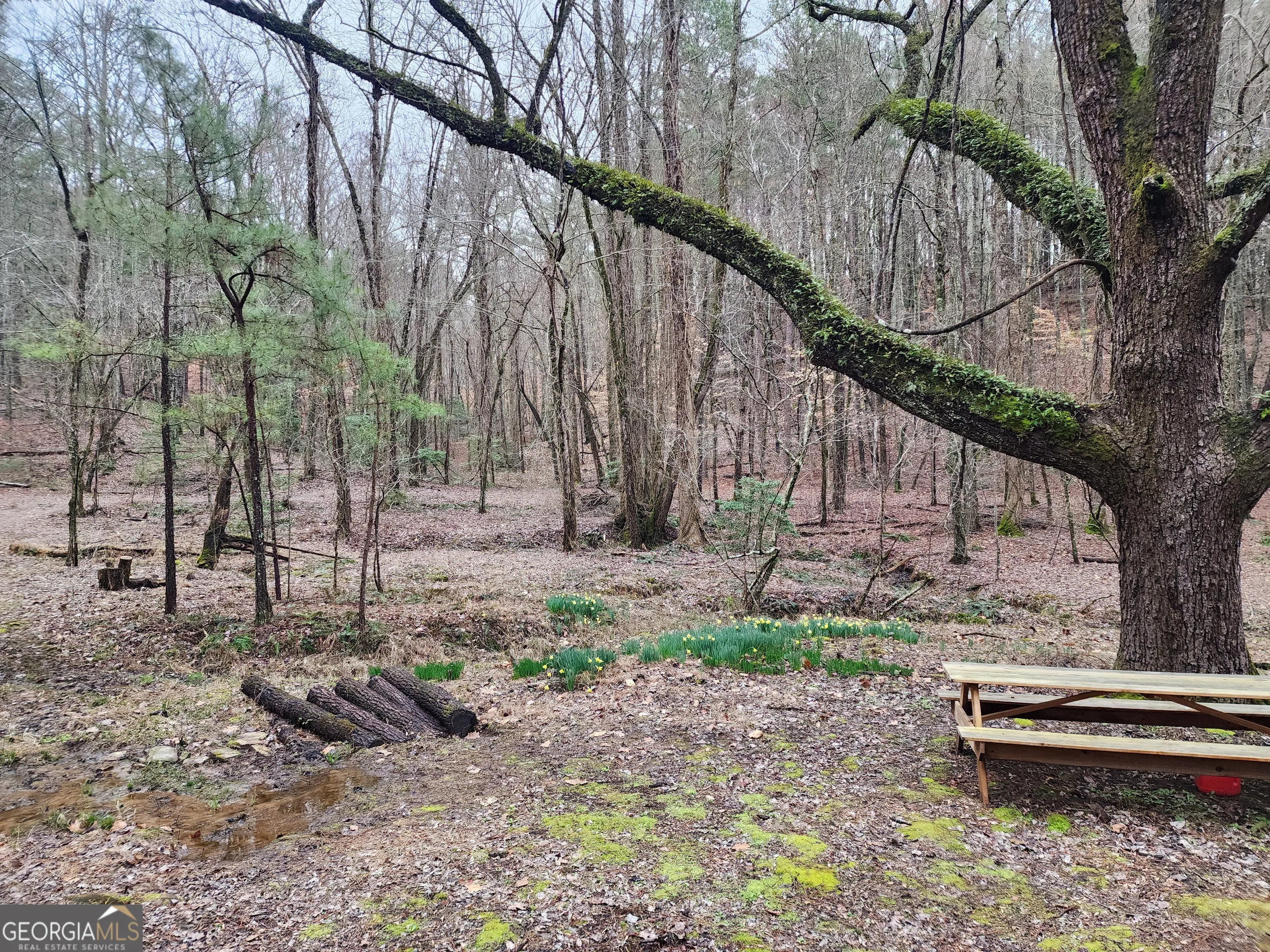 7.67 AC Oak Hill Drive, #0