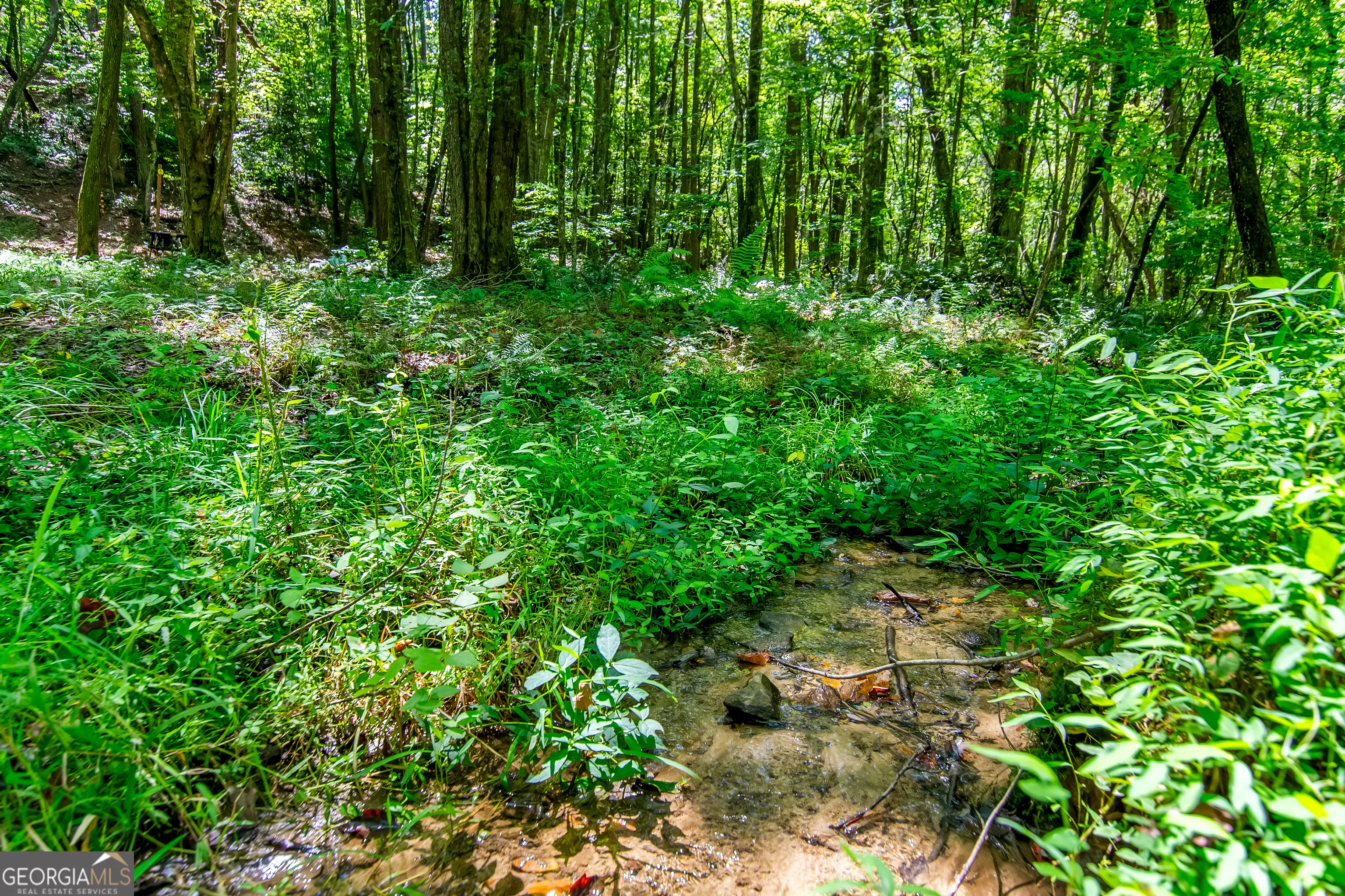 7.67 AC Oak Hill Drive, #0