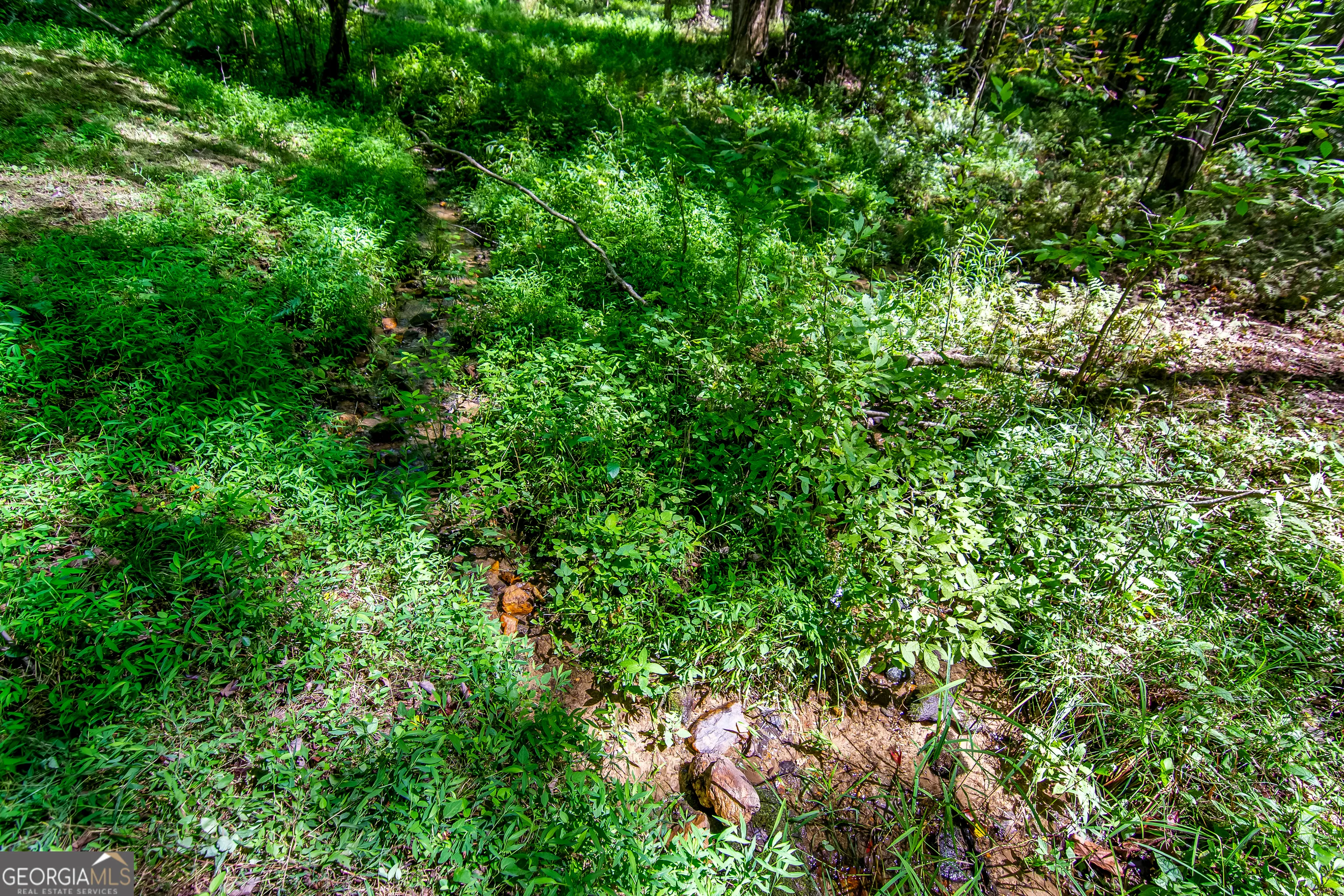 7.67 AC Oak Hill Drive, #0