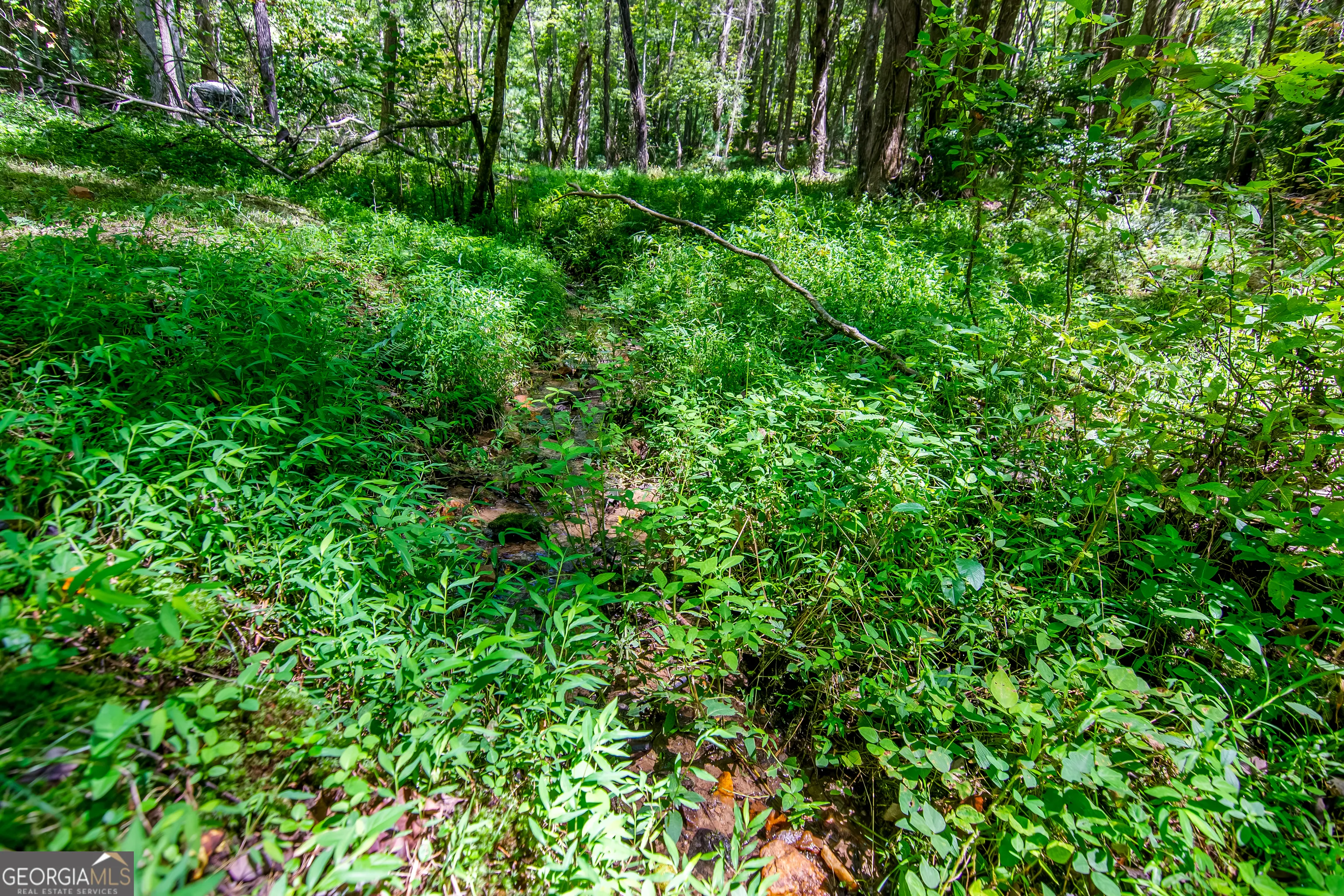 7.67 AC Oak Hill Drive, #0