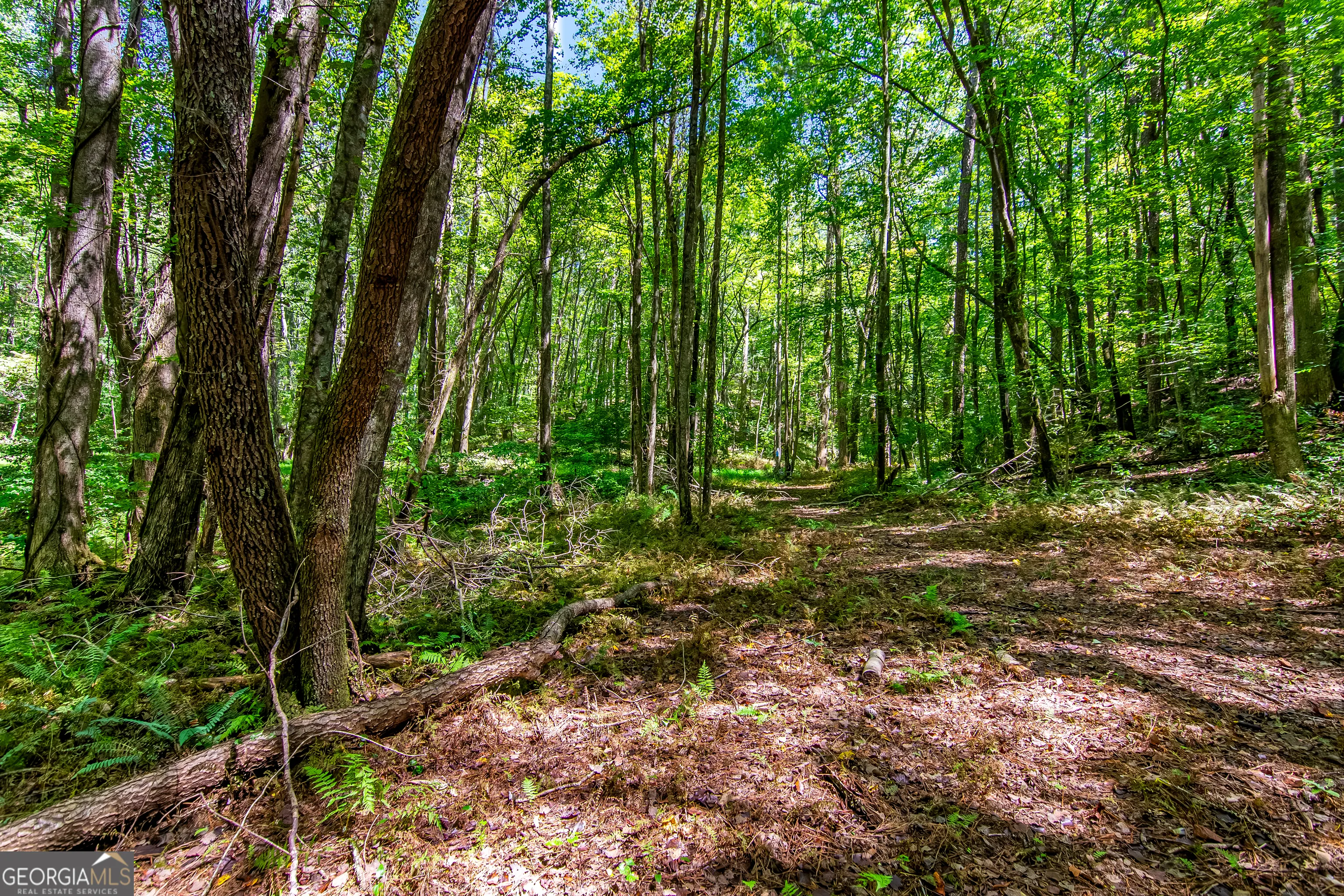 7.67 AC Oak Hill Drive, #0