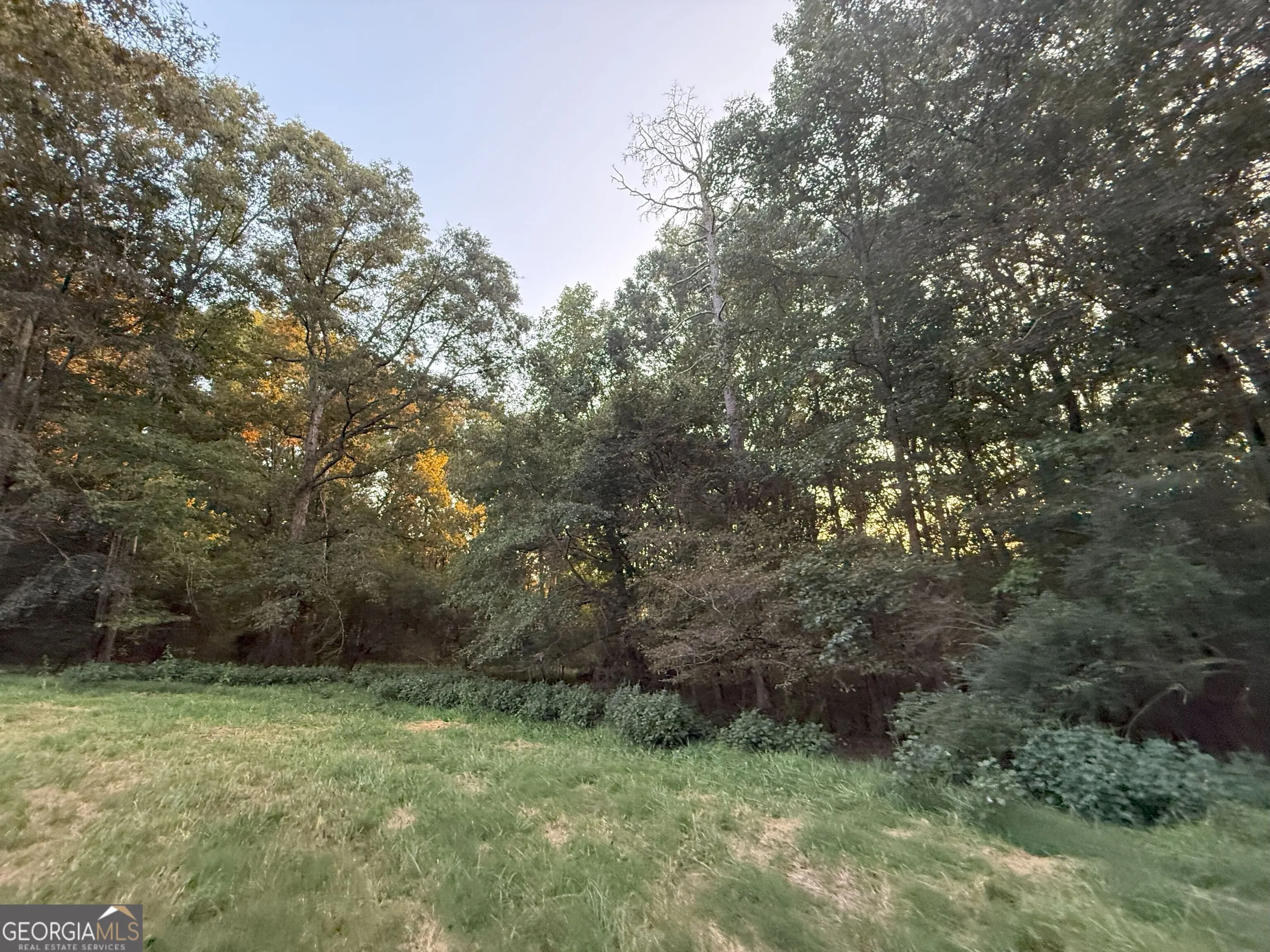 9 W L Williams Road