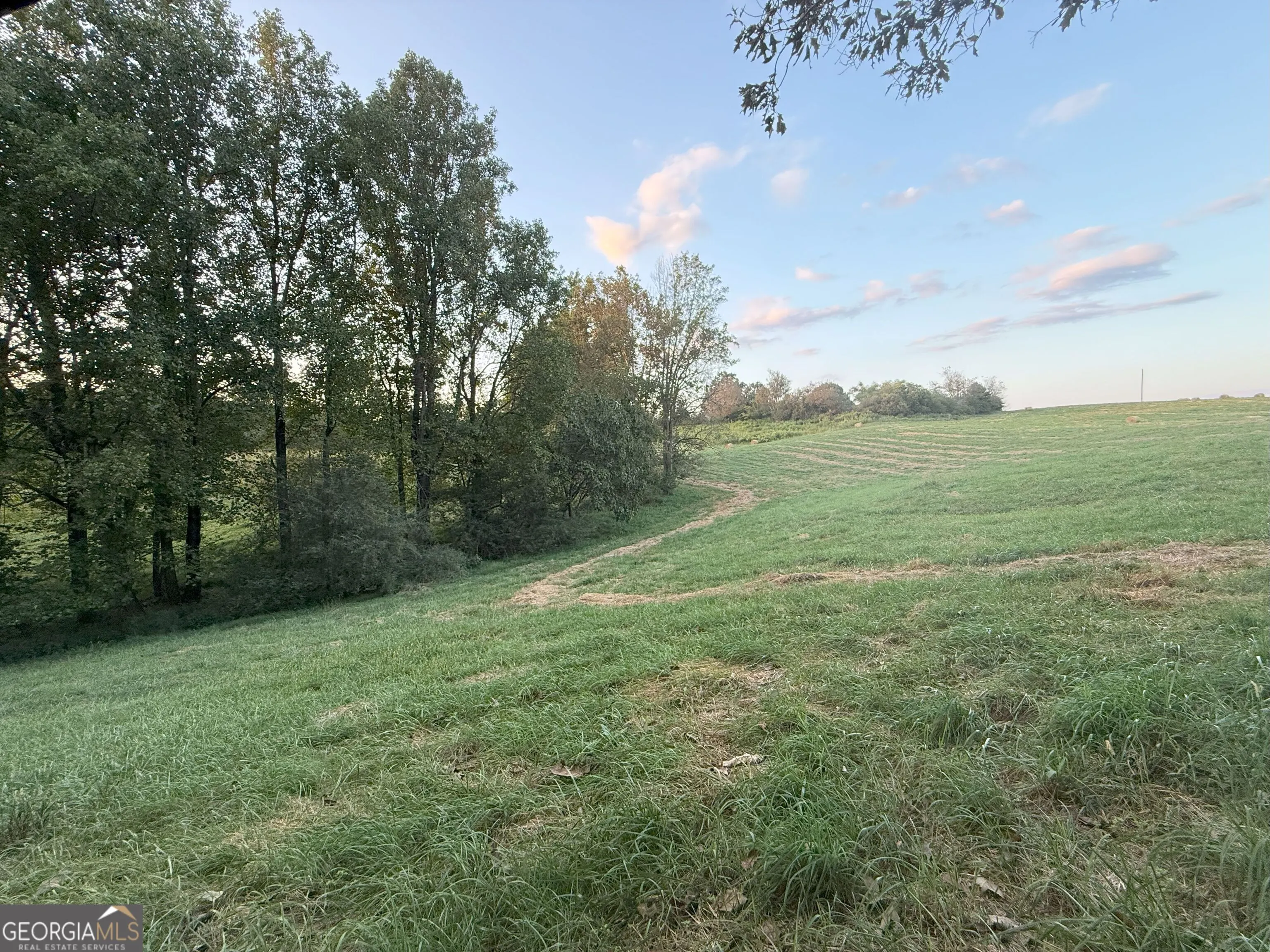 9 W L Williams Road