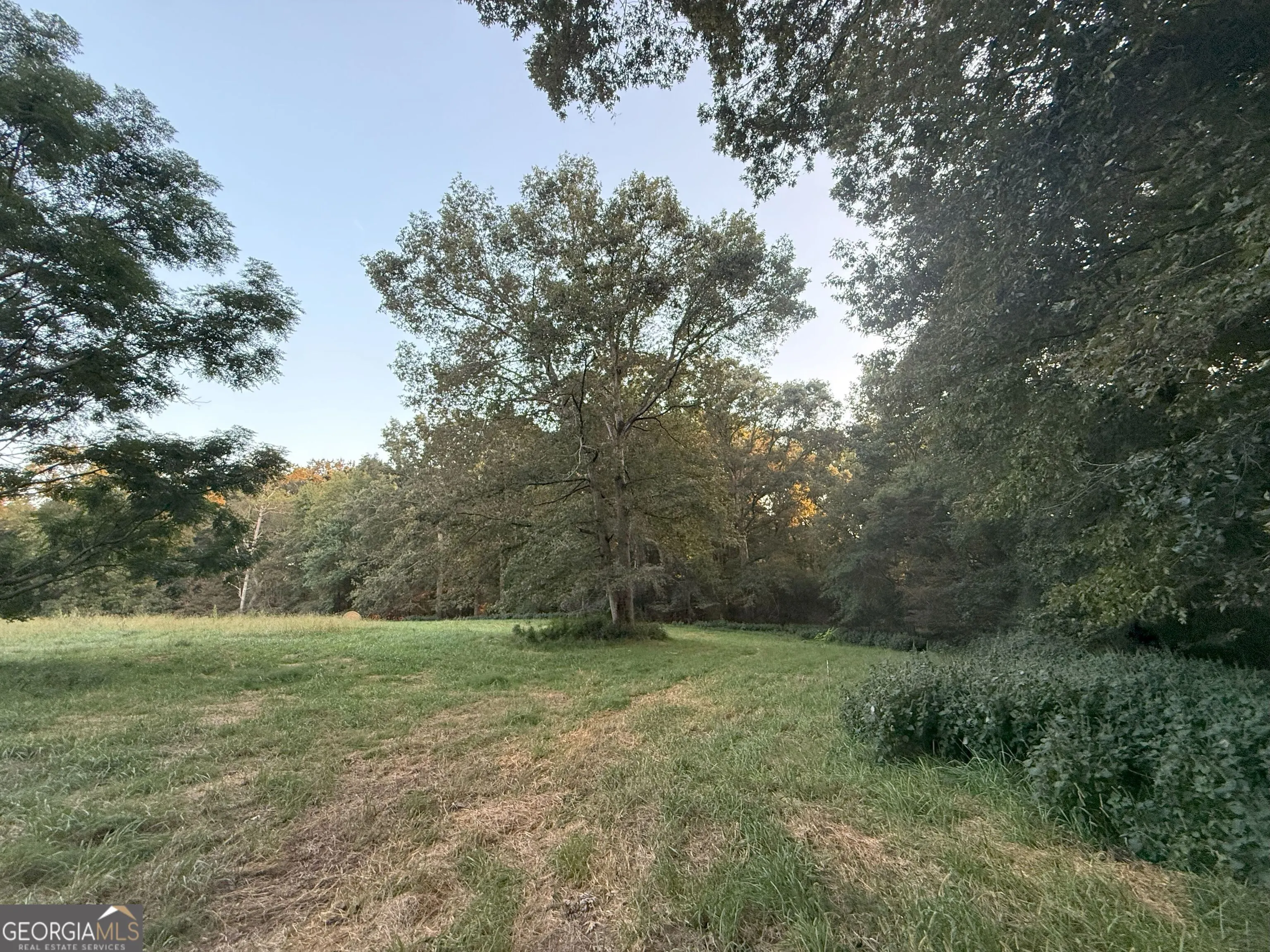 9 W L Williams Road