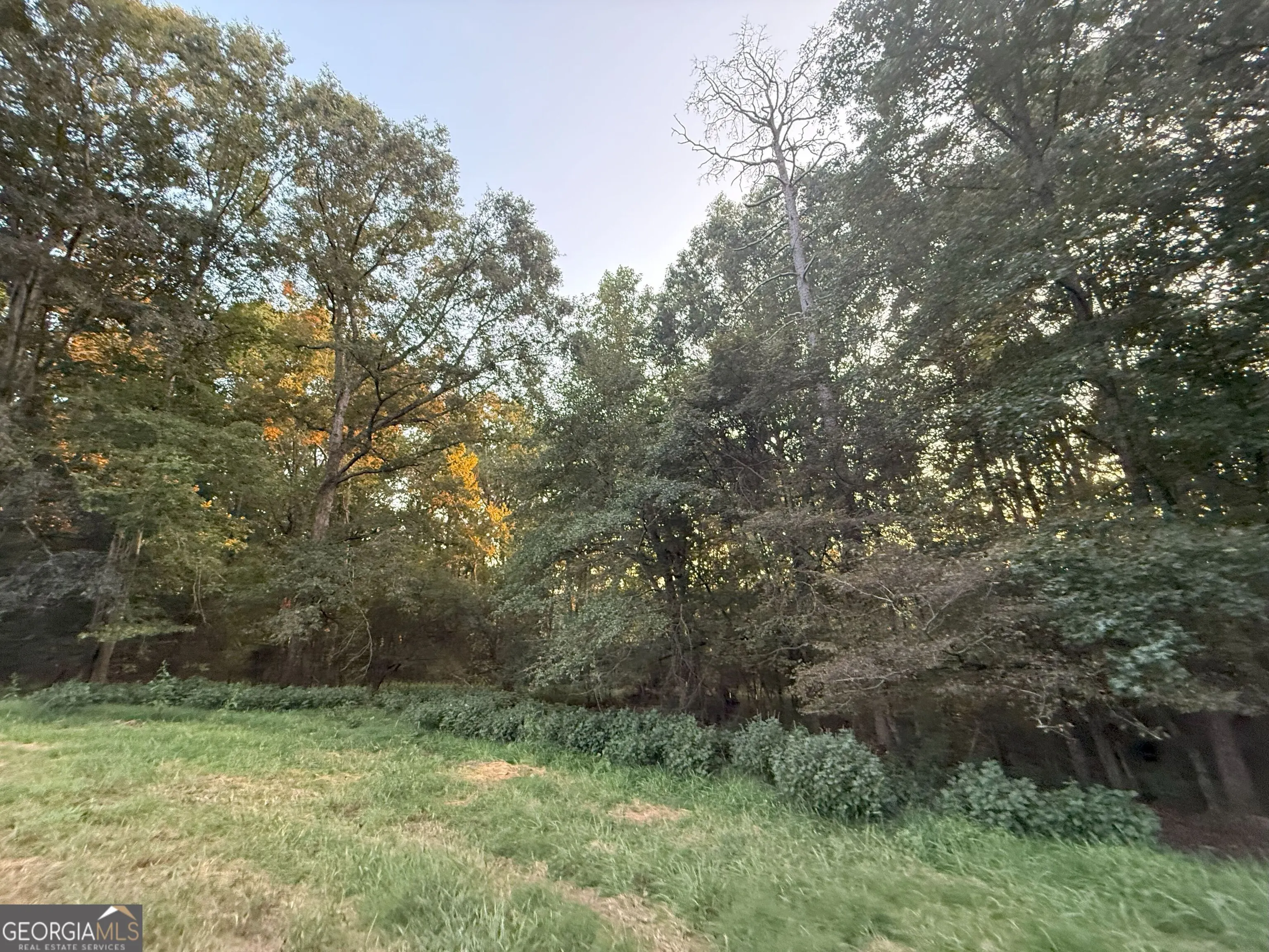 9 W L Williams Road