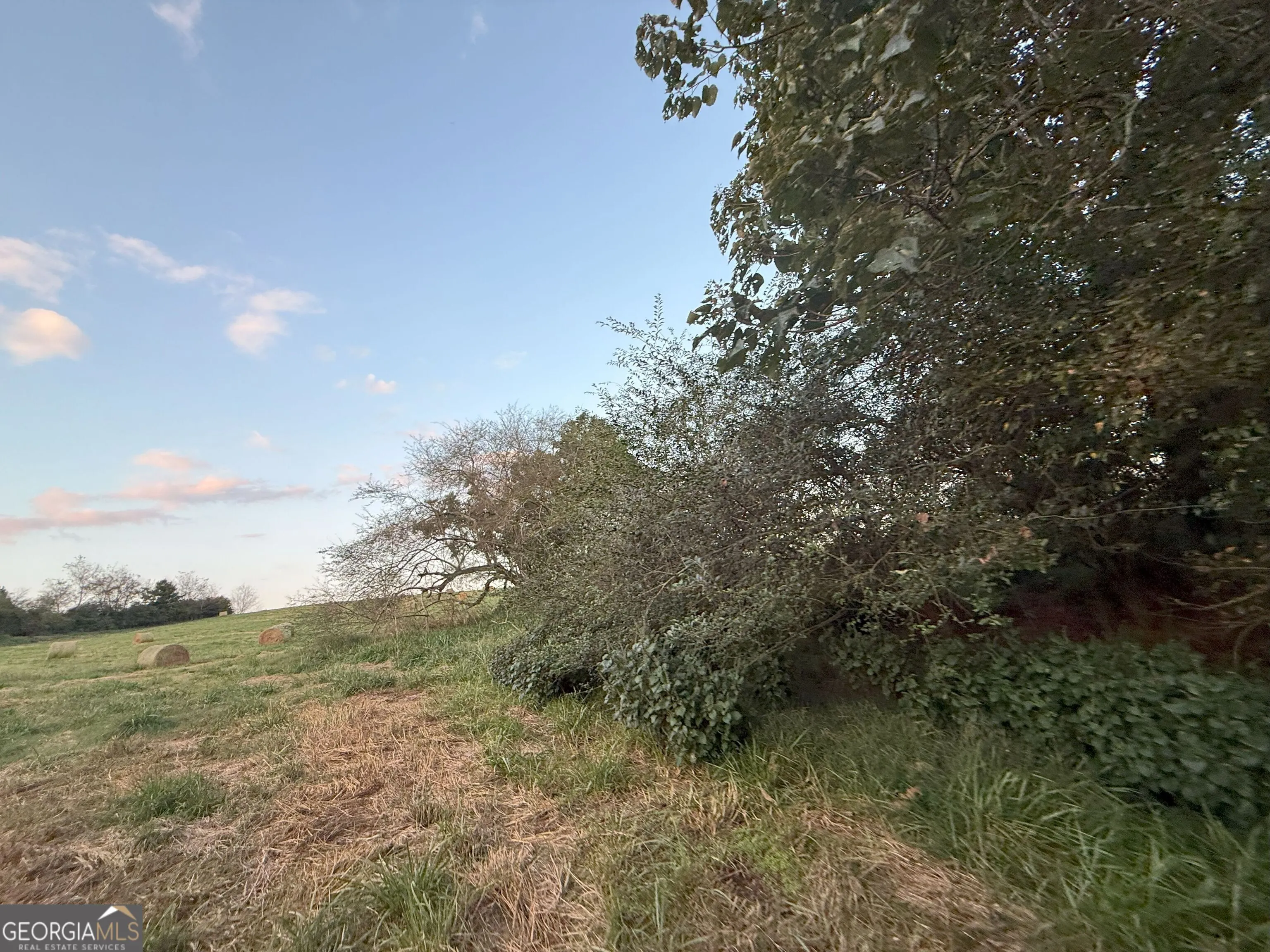 9 W L Williams Road