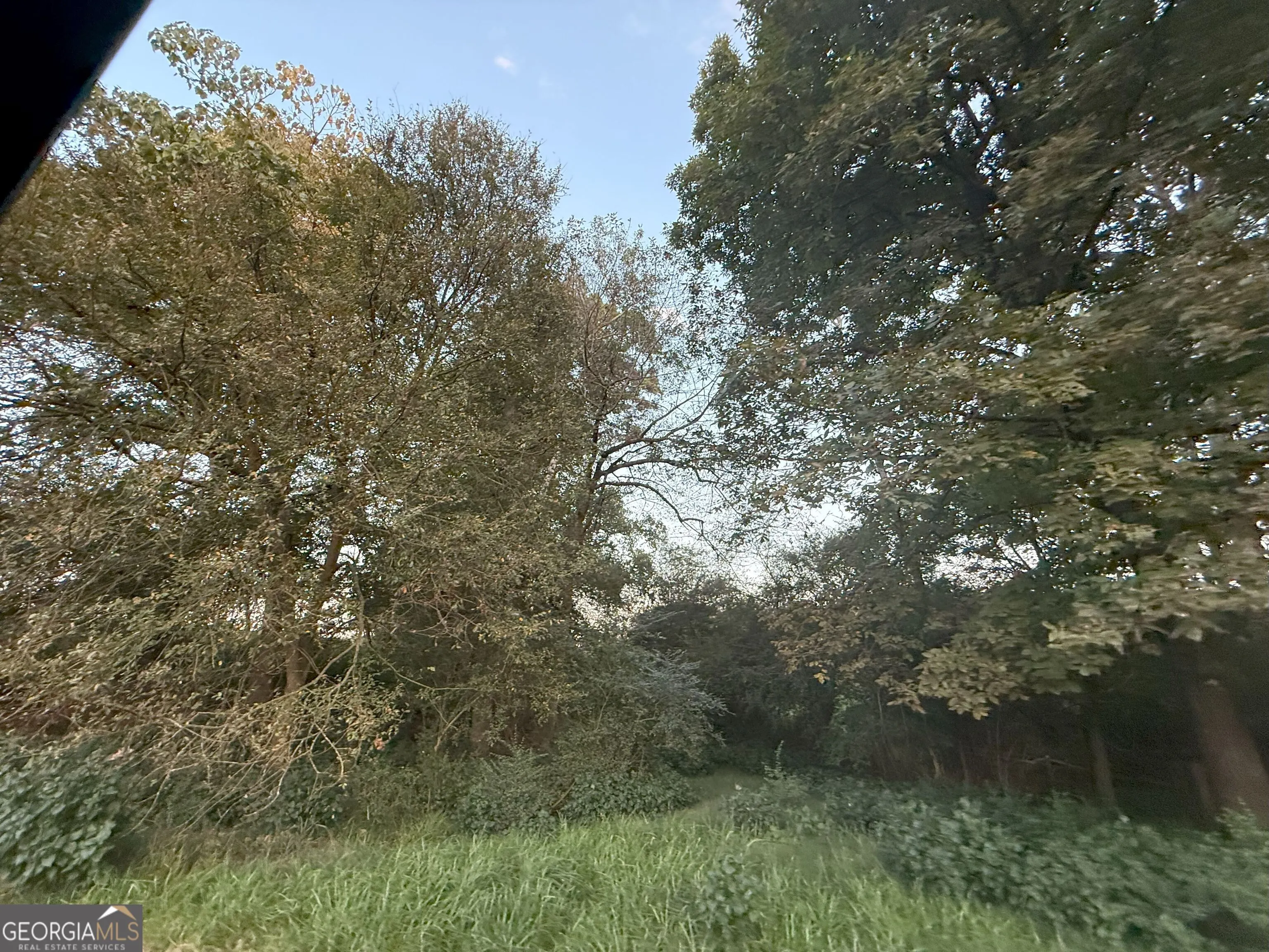 9 W L Williams Road