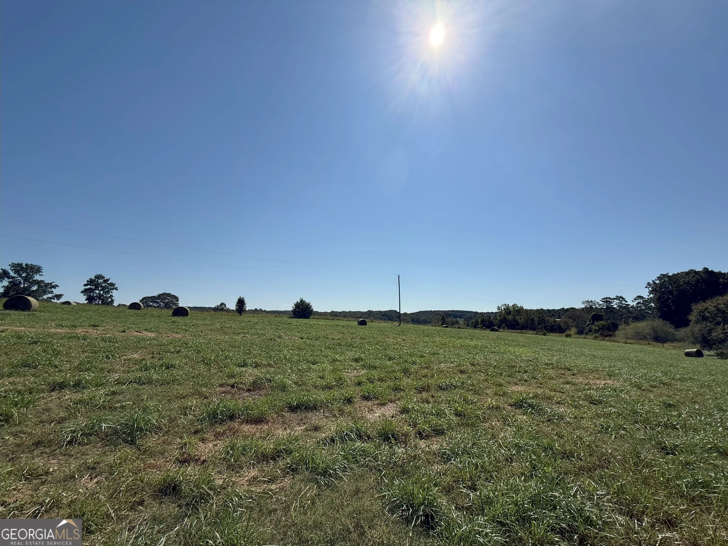 9 W L Williams Road