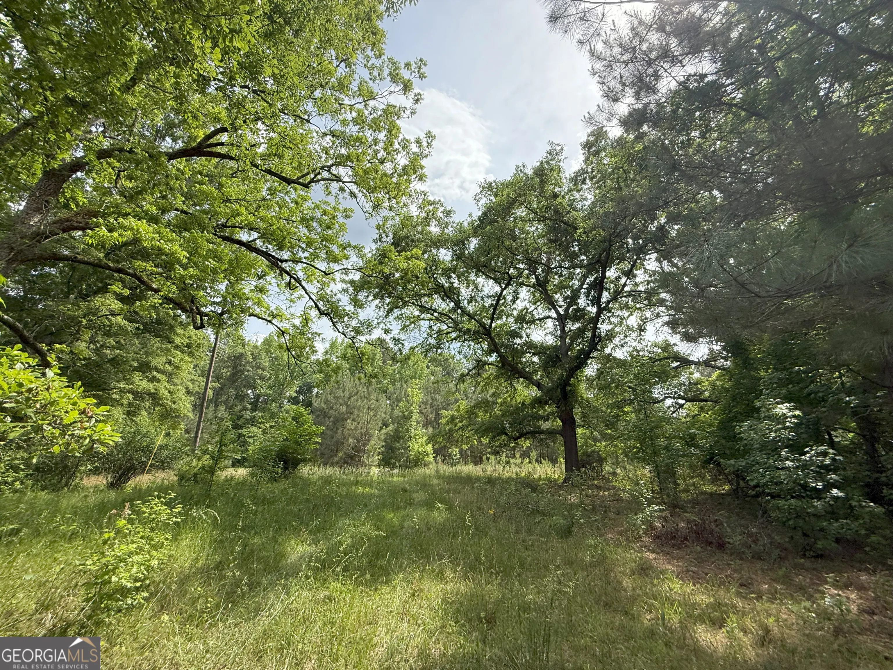 3 Norwood Camak Road