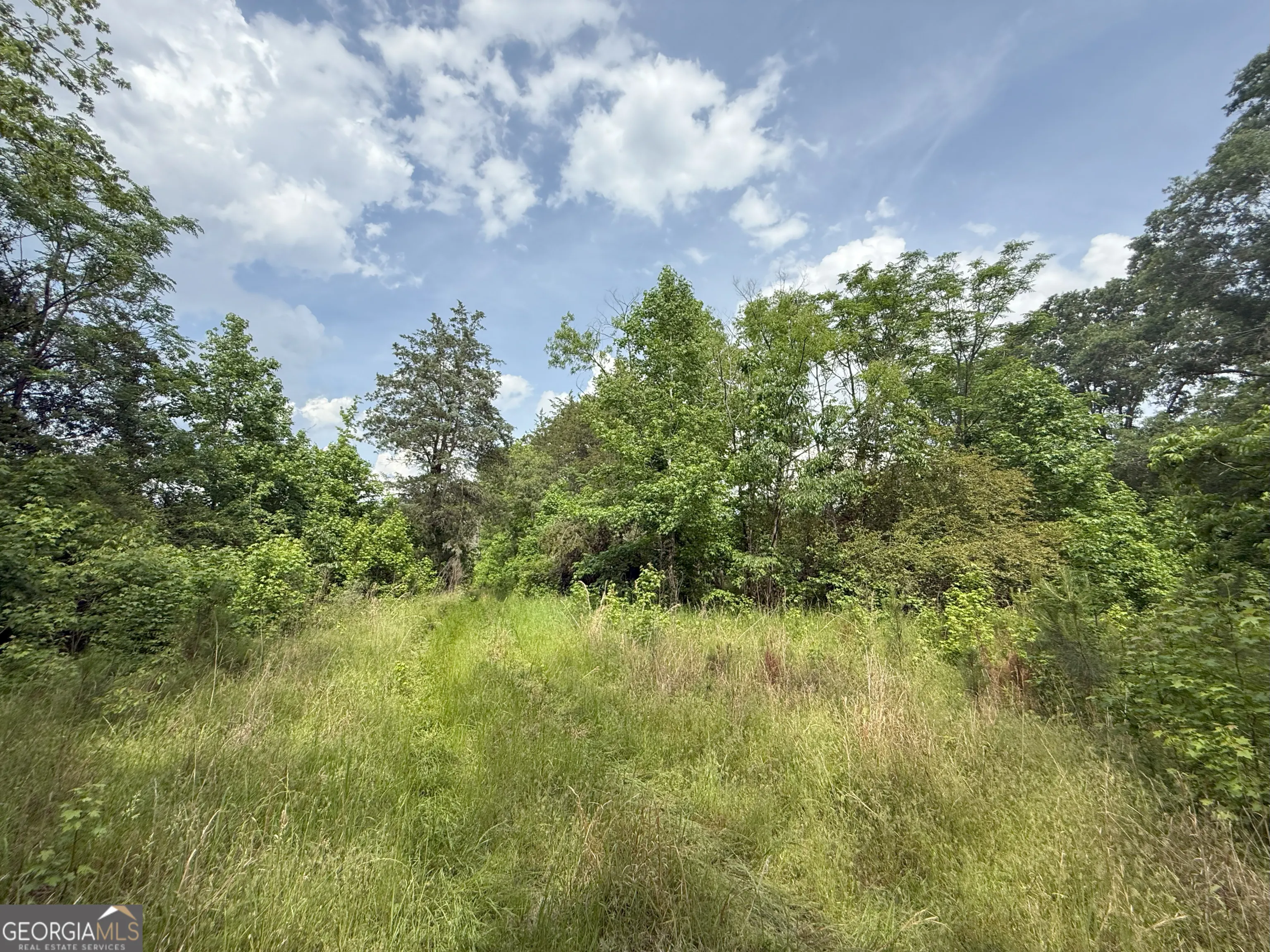 3 Norwood Camak Road