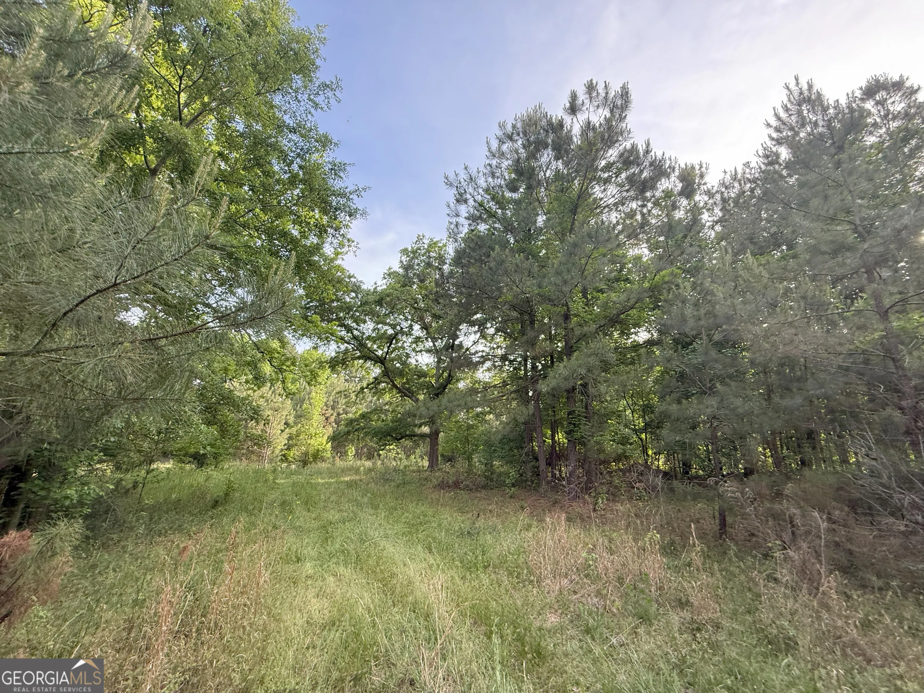 3 Norwood Camak Road